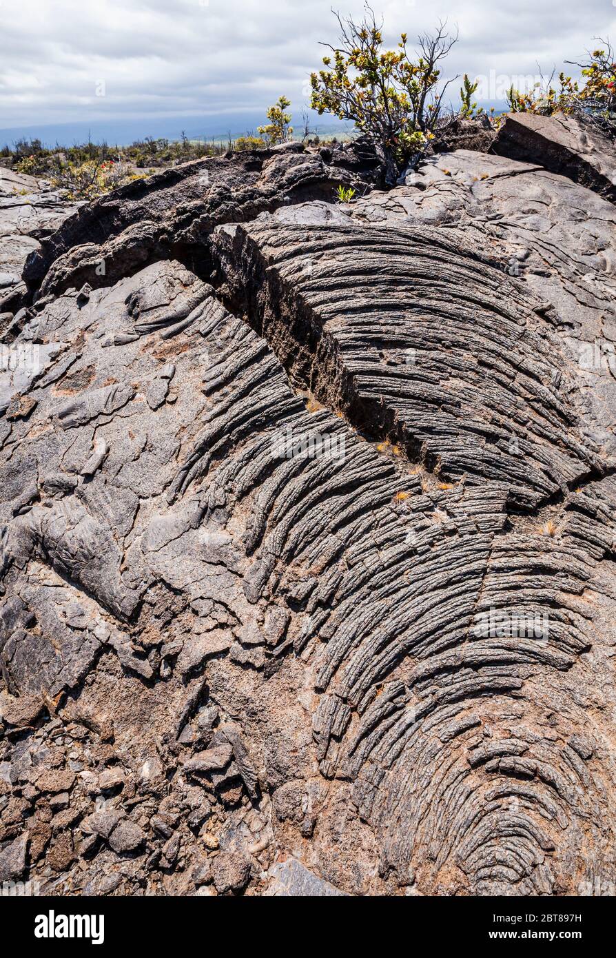 Dettagli di antichi flussi lavici ascendenti e fessurati nel tempo, Hawaii Vulcanoes National Park, Hawai'i, Stati Uniti. Foto Stock