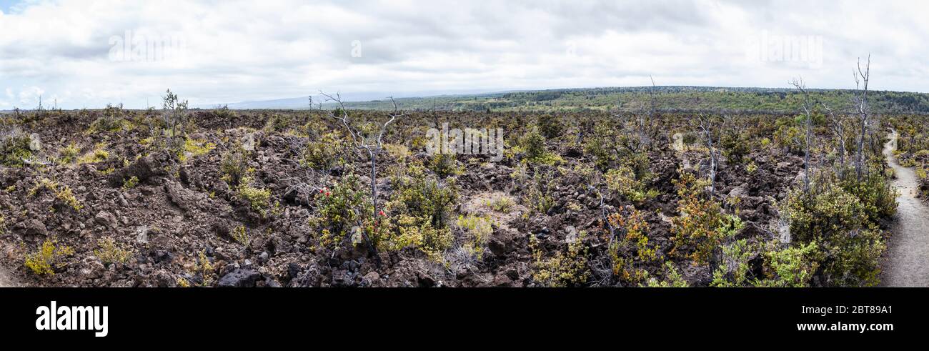 Lungo il sentiero Footprints, Hawaii Volcanoes National Park, Hawai'i, Stati Uniti. Foto Stock