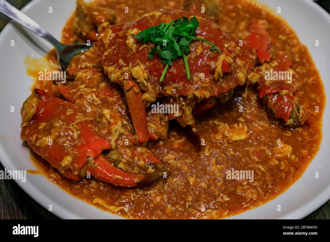 Primo piano di piccante Crab Chili, piatto caratteristico della cucina Singaporiana, servito su un piatto in un ristorante a Singapore Foto Stock