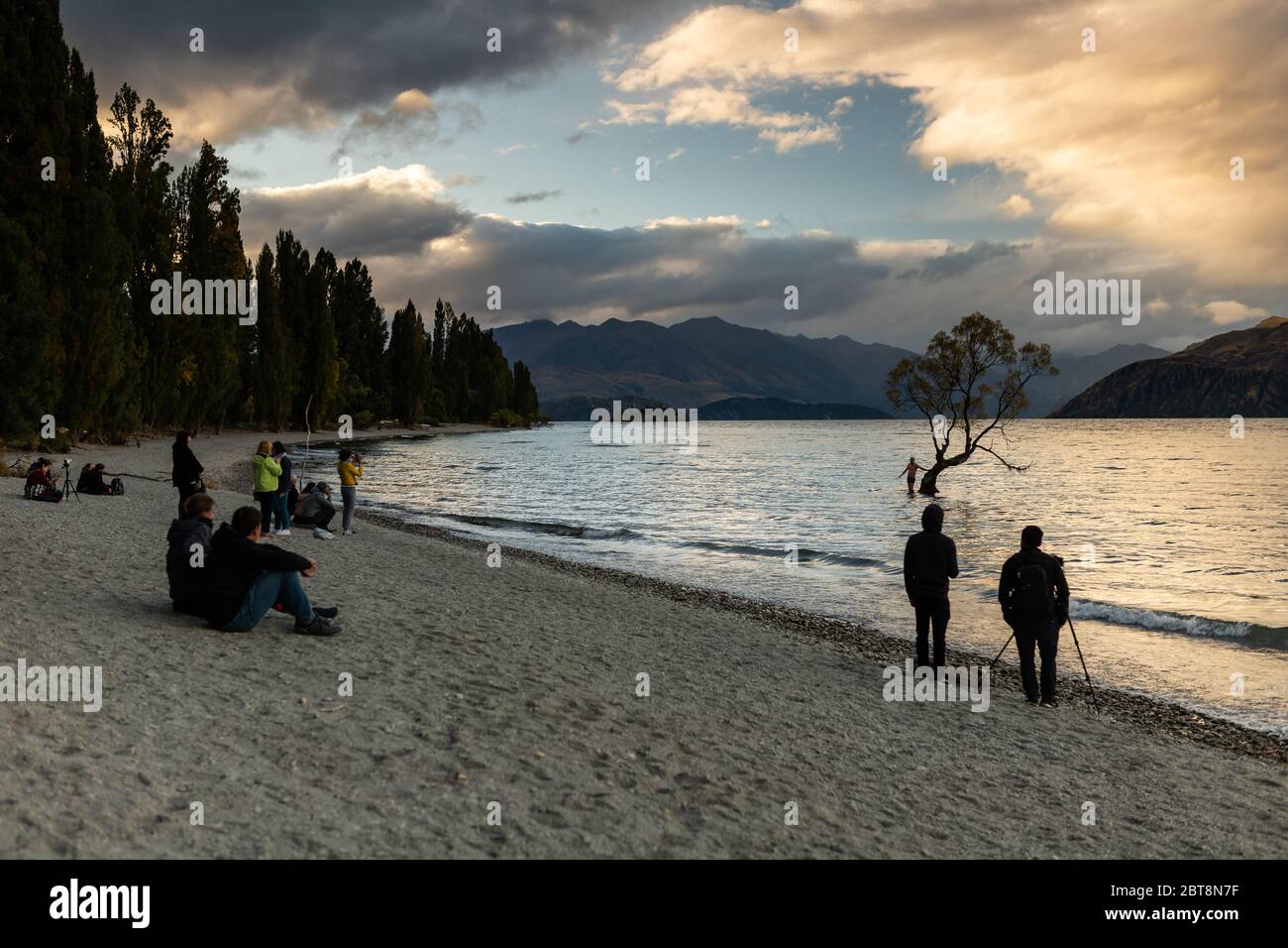 Le folle si riuniscono intorno all'albero di Wanaka, in Nuova Zelanda Foto Stock