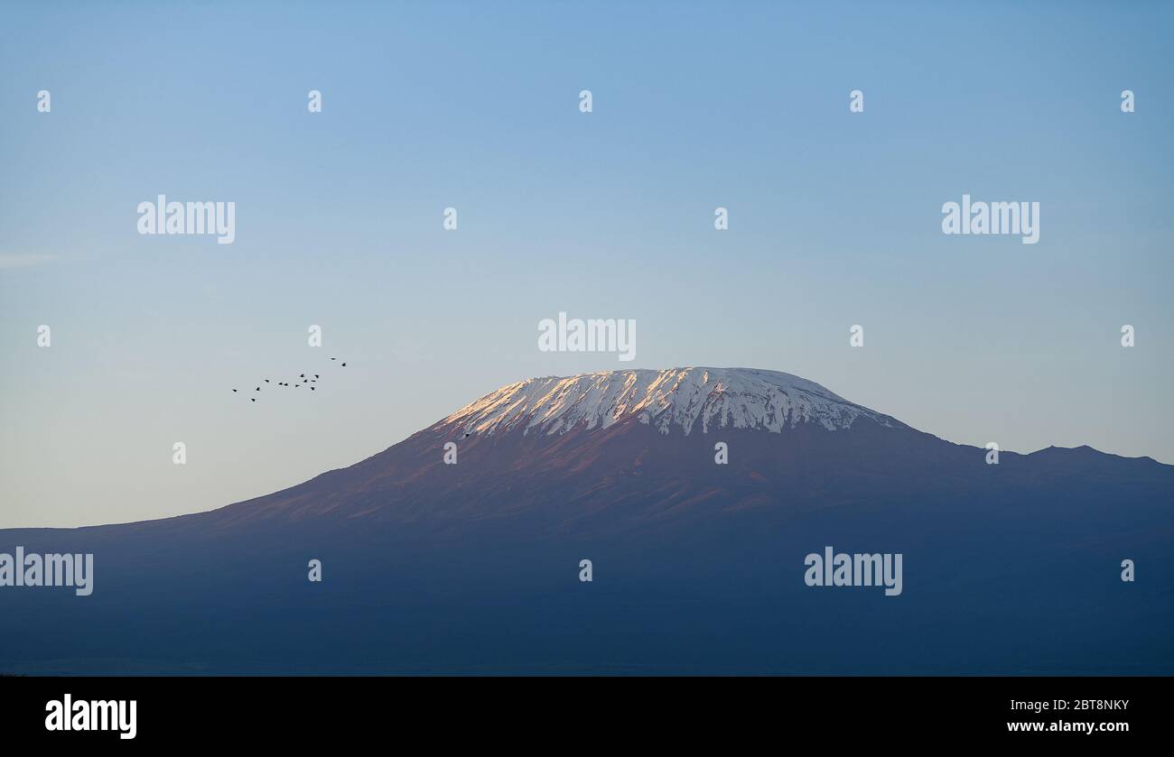 Una vista del Monte Kilimanjaro dal campo safari di Kibo al parco nazionale di Amboseli. Il Monte Kilimanjaro è un vulcano inattivo in Tanzania Foto Stock