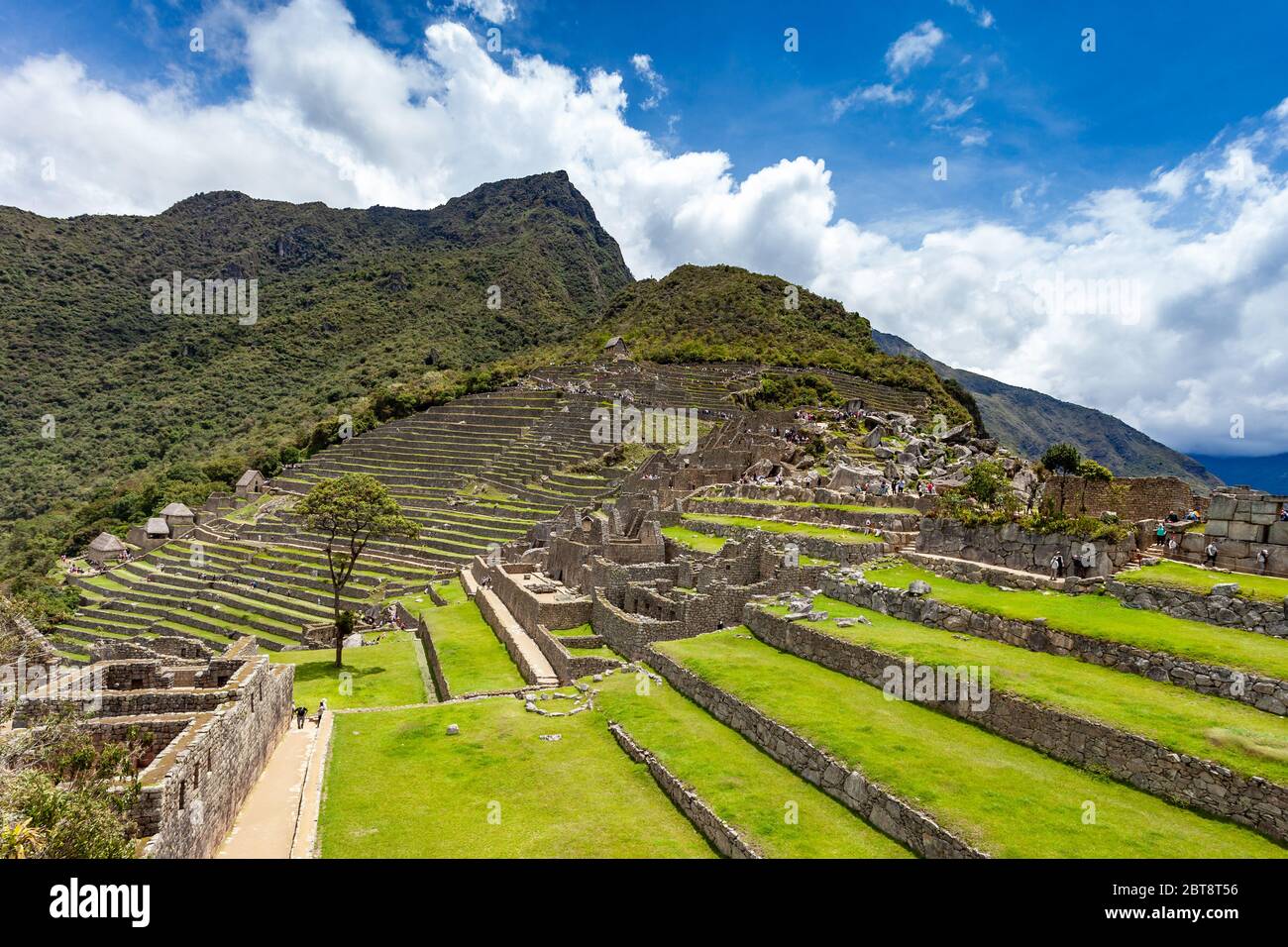 Terrazze di Machu Picchu. 2019-11-28 Perù Foto Stock