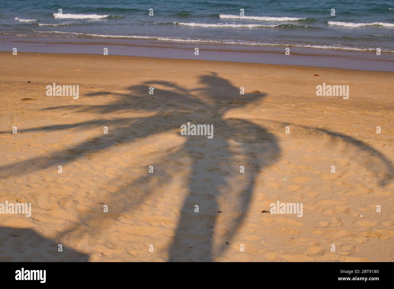 Questa foto unica mostra un'ombra di un albero di palma nella sabbia su una spiaggia e sullo sfondo l'oceano Foto Stock