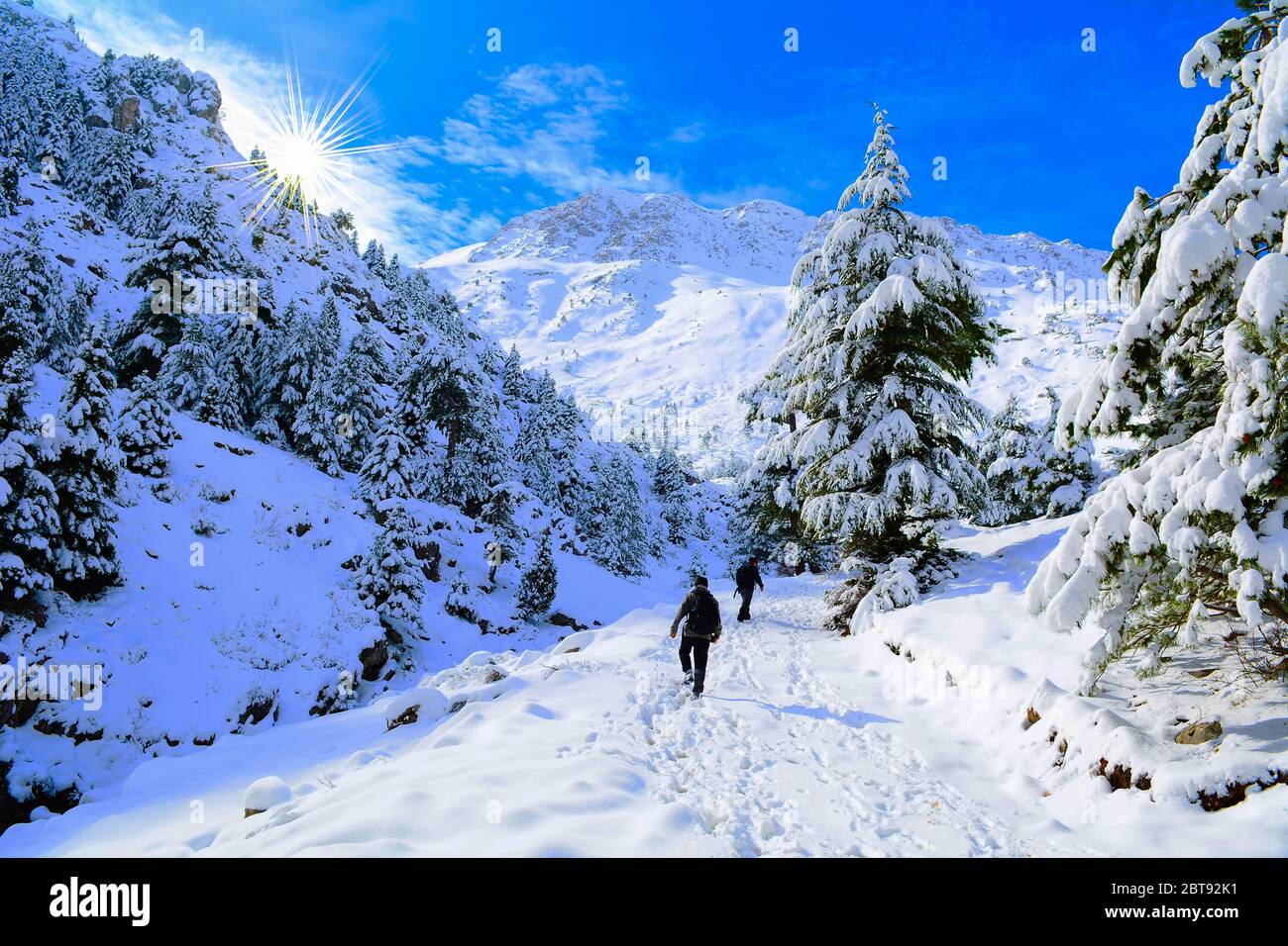 passeggiata invernale in montagne innevate Foto Stock