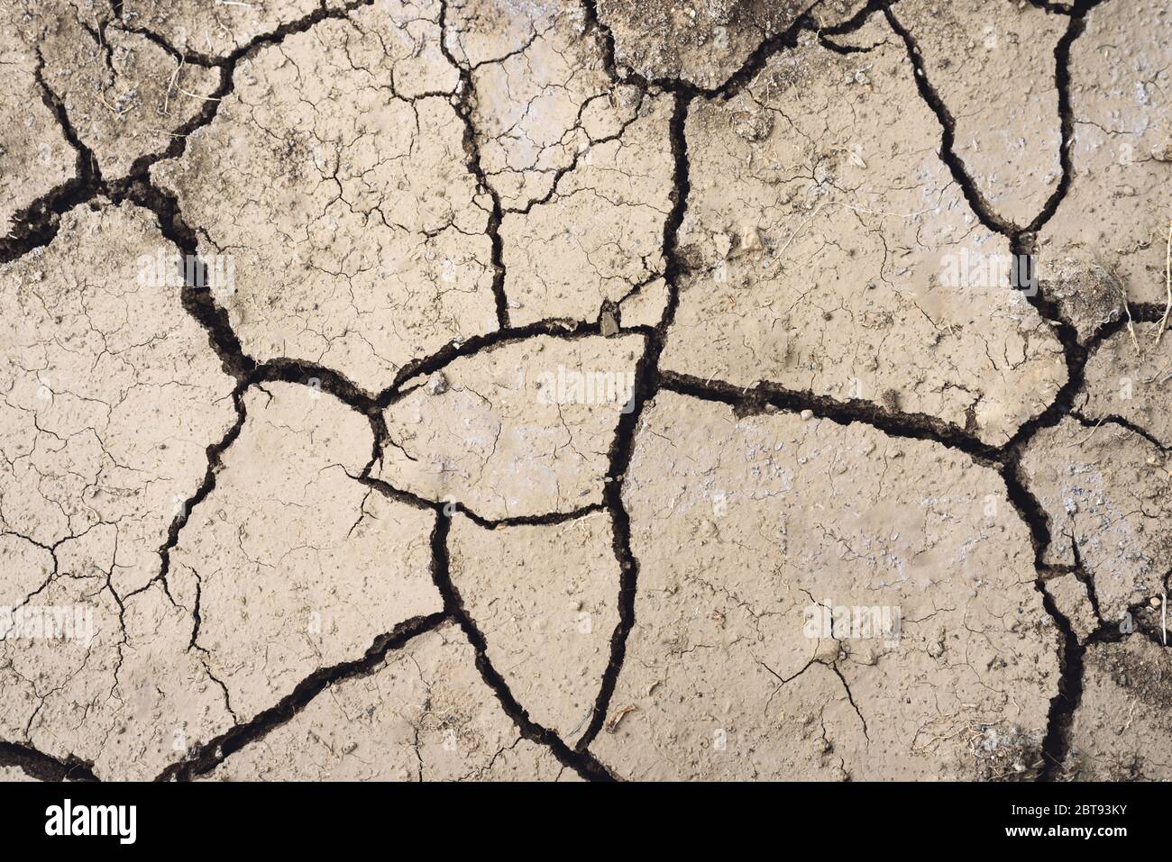 Siccità, terreno essiccato, disasterno ambientale, mancanza di umidità. Superficie incrinata. Suolo asciutto in aree aride. Foto Stock