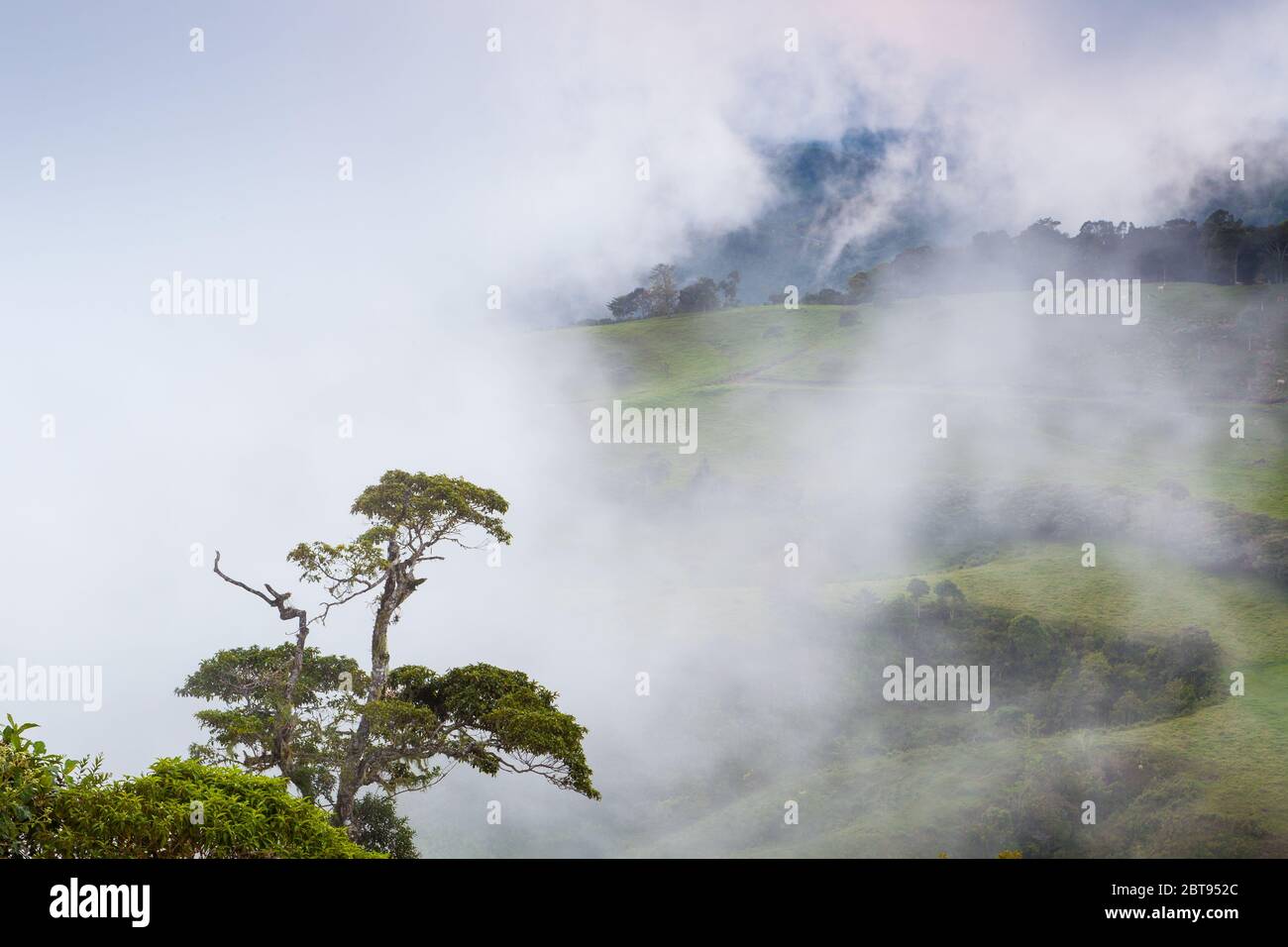 Serata mistosa in terreni agricoli tra Rio Sereno e il comune di Volcan, provincia di Chiriqui, Repubblica di Panama. Foto Stock