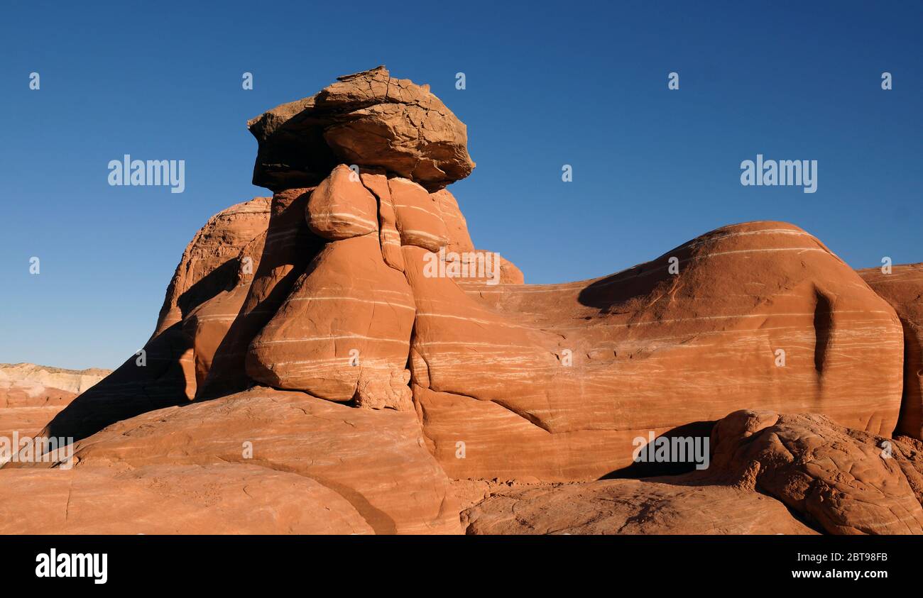 Toadstool Hoodoos Foto Stock