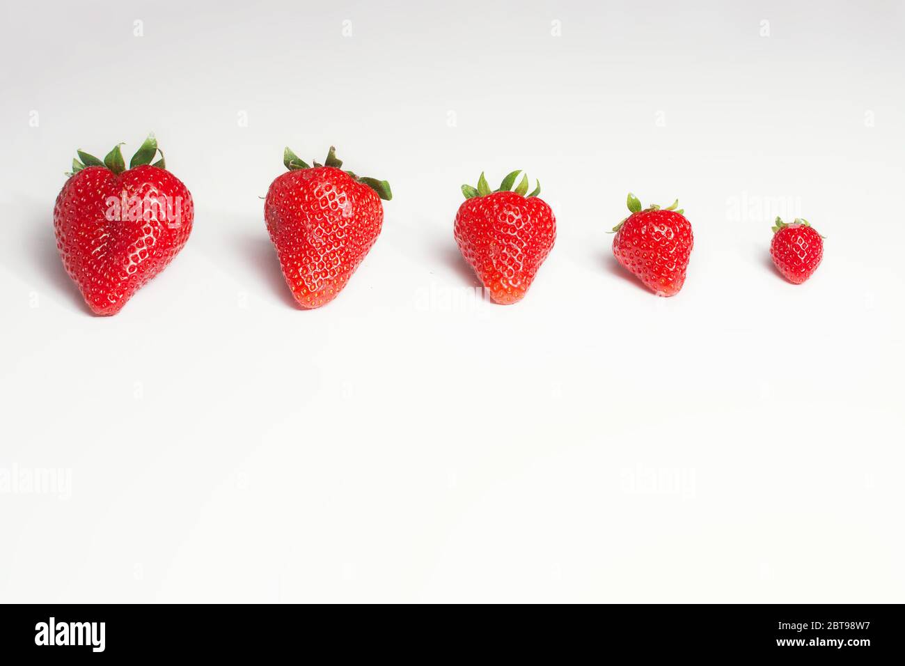 Una fila di fragole dal più piccolo al più grande su sfondo bianco Foto Stock