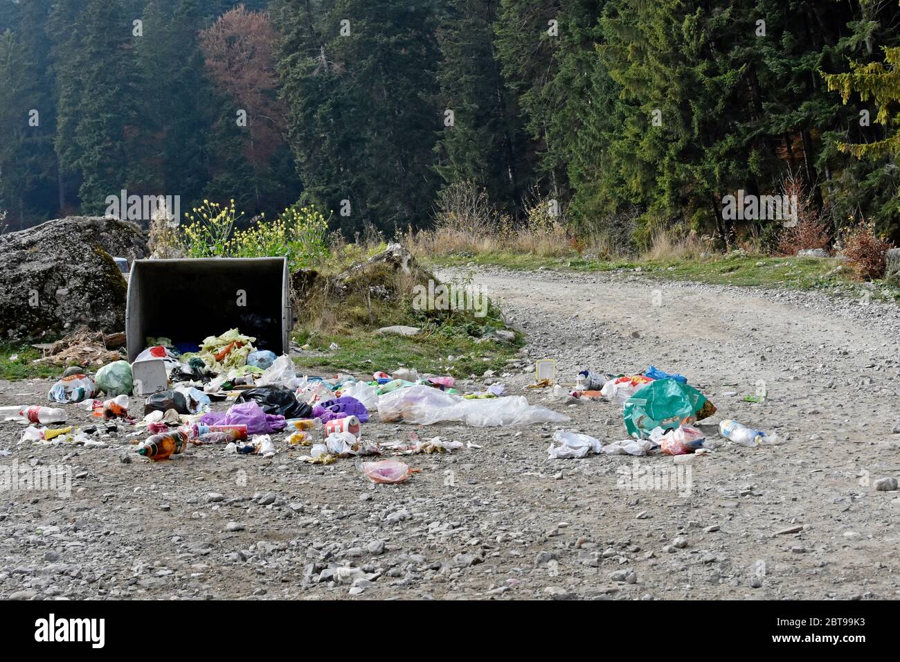 Rovesciato grande bidone spazzatura vicino alla foresta, sulla strada. Concetto di inquinamento ambientale. Foto Stock