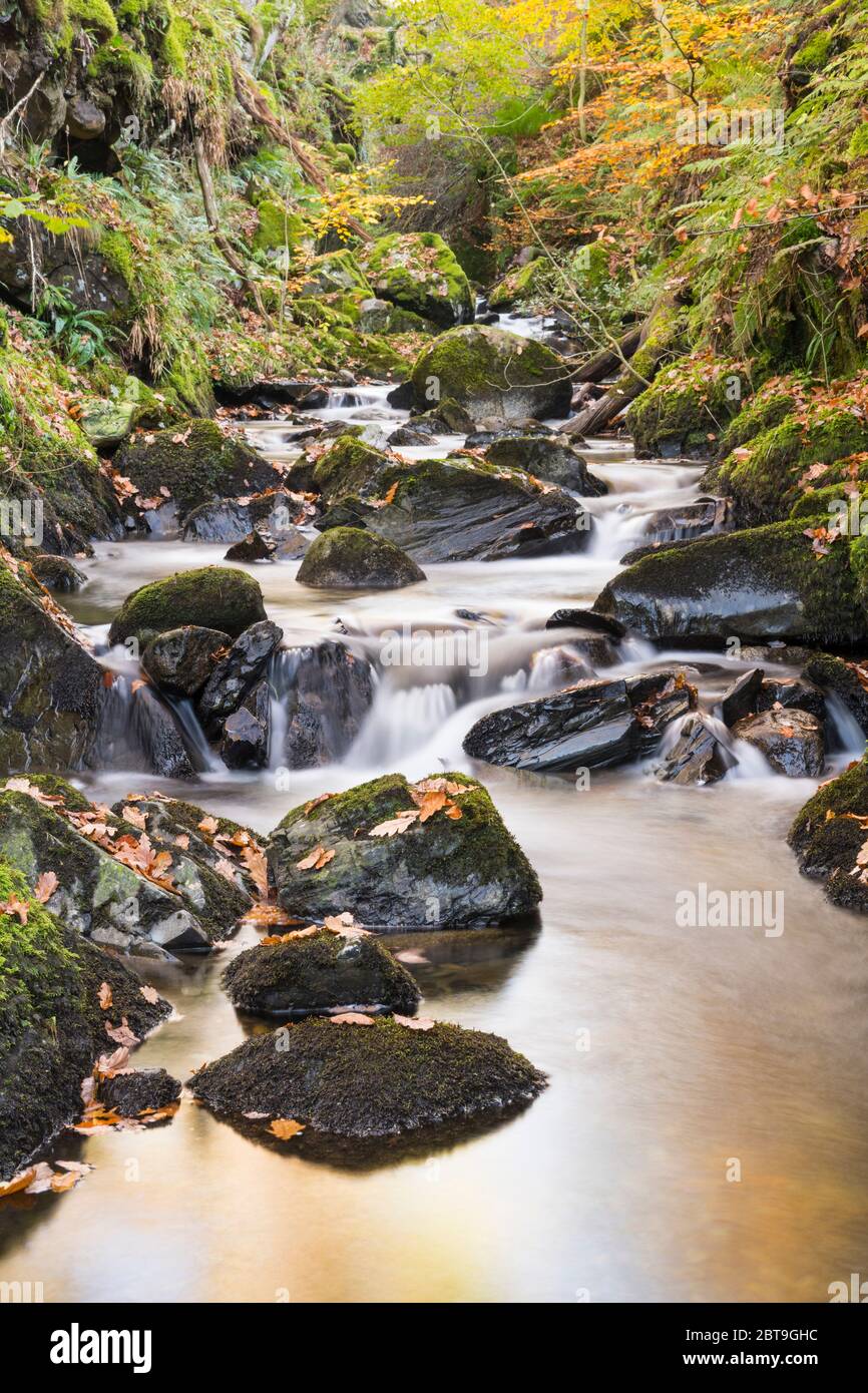 Cascate su Castramon Cleuch in autunno, vicino alla Gatehouse of Fleet, Dumfries & Galloway, Scozia Foto Stock