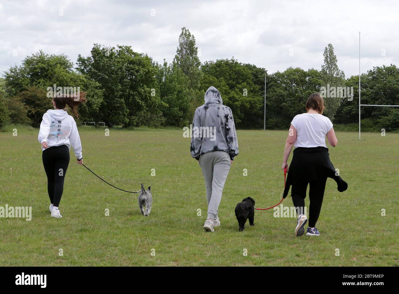 Un gruppo di famiglie che cammina i loro cani mentre escono per il loro esercizio quotidiano vicino al club di rugby a Braintree durante la pandemia COVID-19 e il blocco Foto Stock