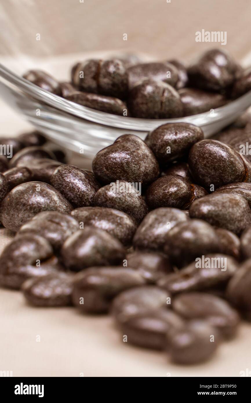 i dolci all'uva passa al cioccolato dormono abbastanza da una ciotola di vetro Foto Stock