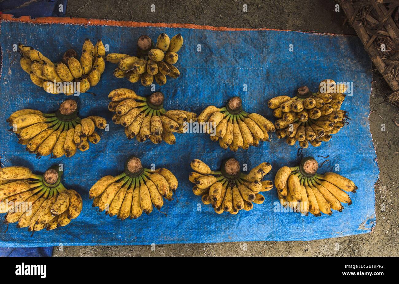 Vista dall'alto su una Banana da vendere sul mercato Bac ha, Vietnam Foto Stock
