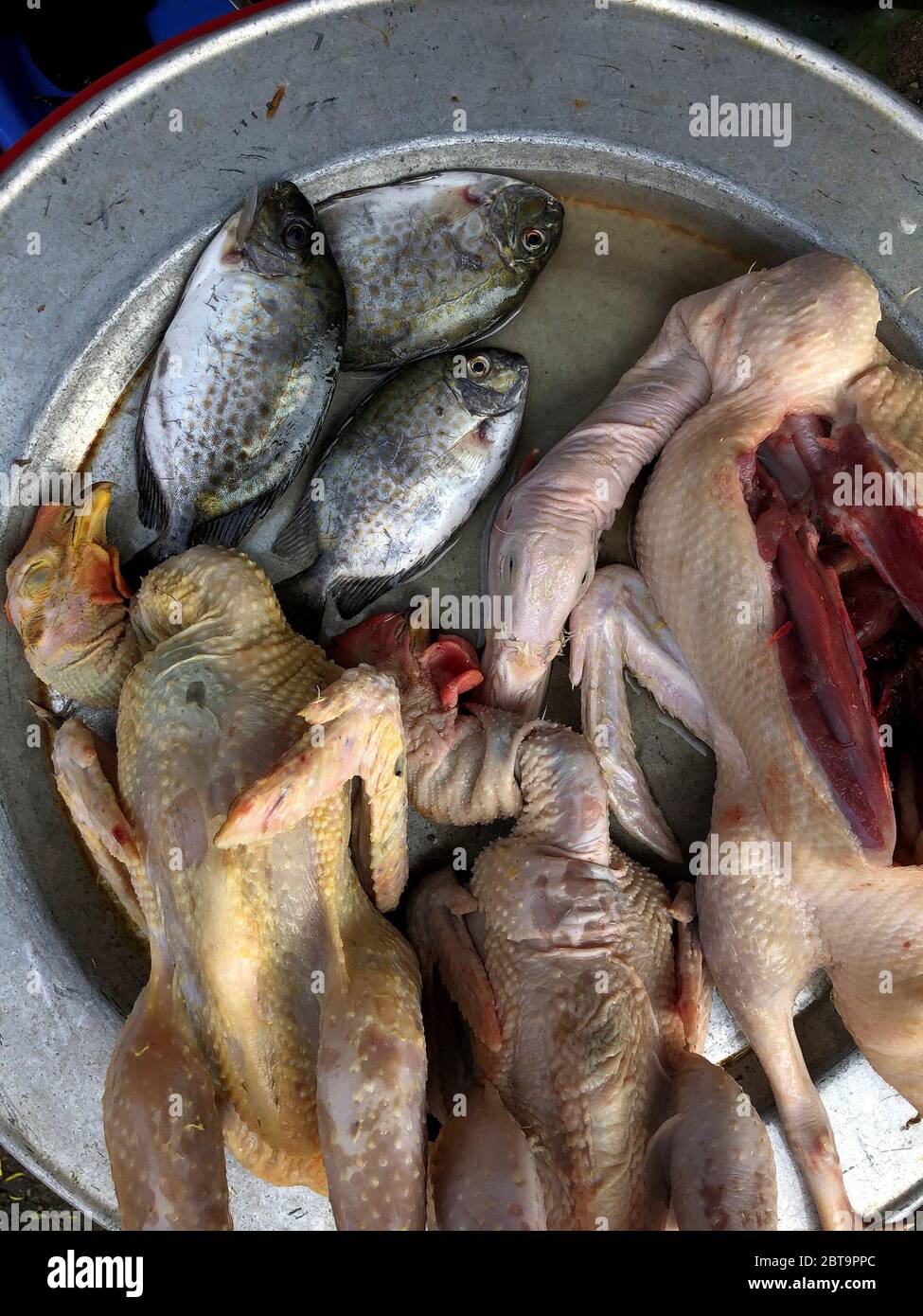 Vista dall'alto su pesci sciolti, anatre e pollo in vendita al mercato di Hue, Vietnam, asia Foto Stock