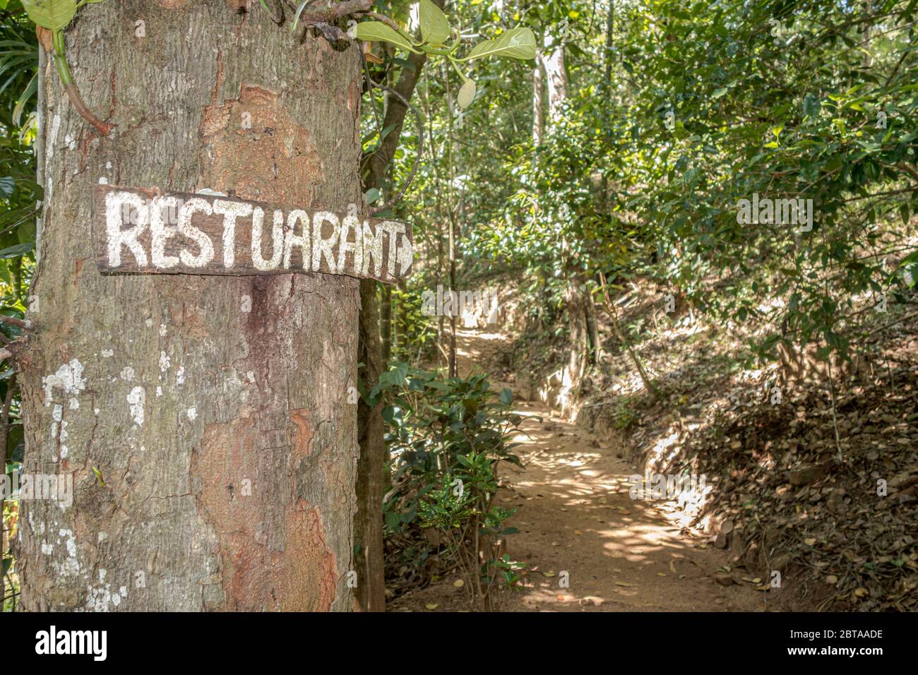 Segno di ristorante della giungla di legno con errore di ortografia inchiodato ad un albero nella foresta dello Sri Lanka che punta ad un percorso. Foto di riserva senza royalty. Foto Stock