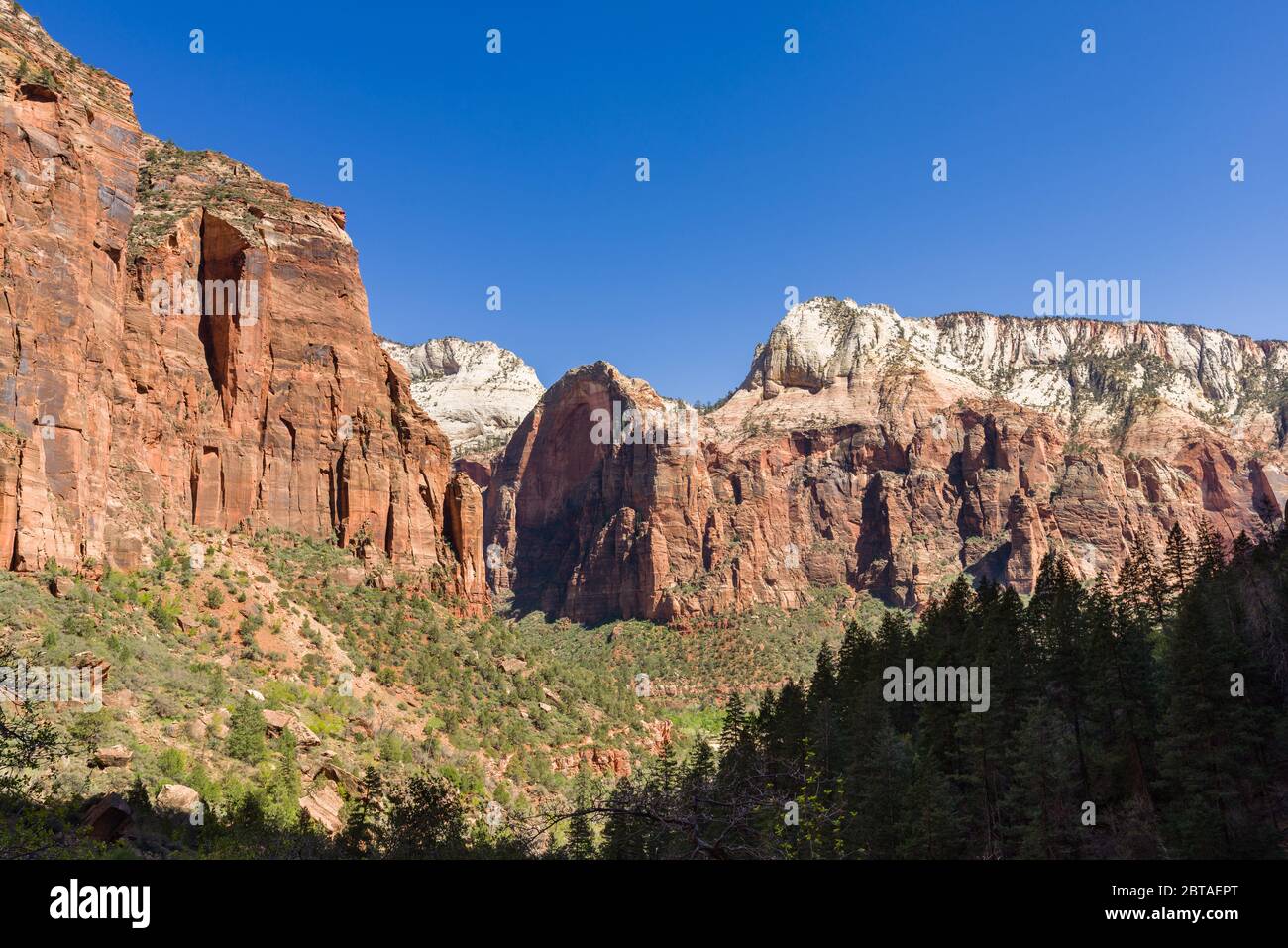 Mountain of the Sun and Valley, Zion National Park, Utah, USA Foto Stock