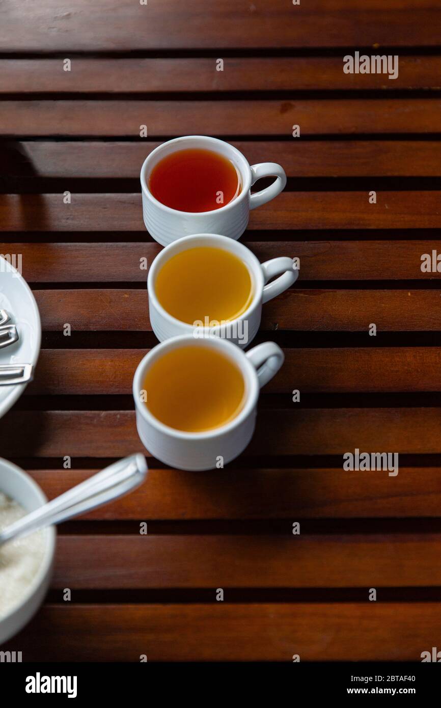 Produzione di tè in Sri Lanka. Introdotto dagli inglesi dopo il caffè fallito. Ora torna principalmente in mani private. Foto Stock