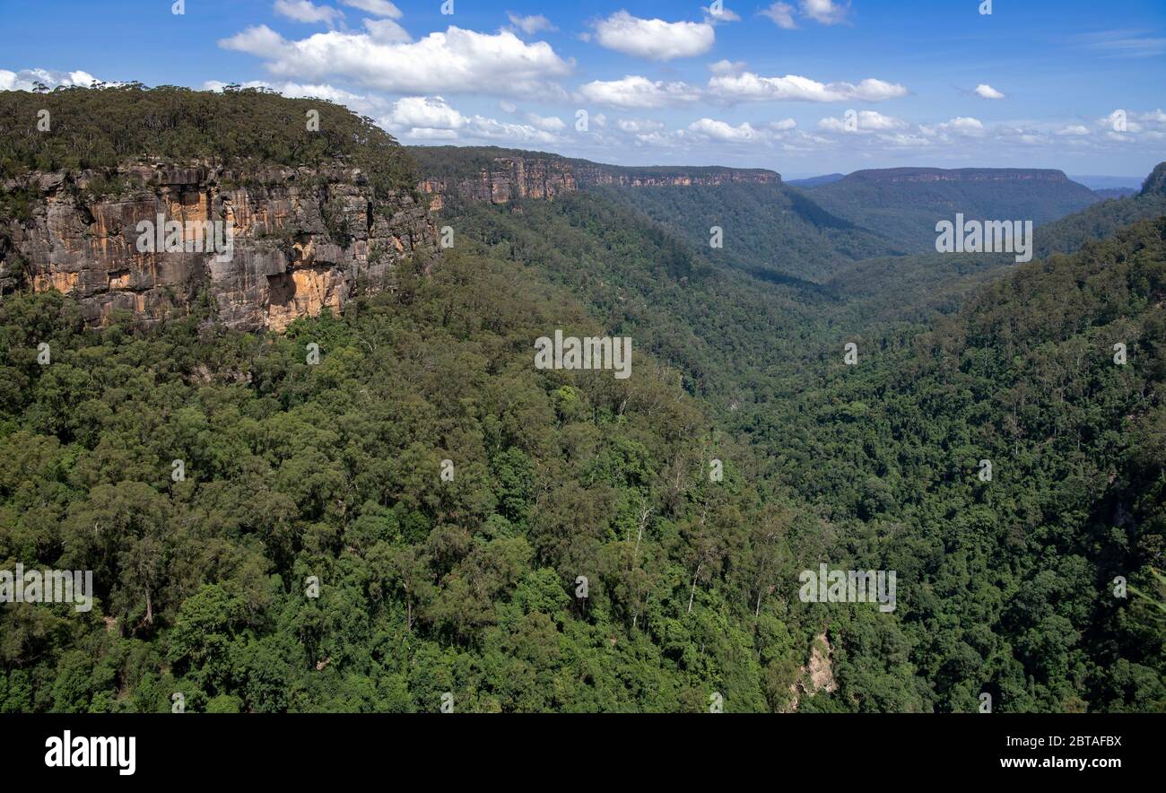 Scarpata e Yarrunga Creek Gorge Southern Highlands NSW Australia Foto Stock