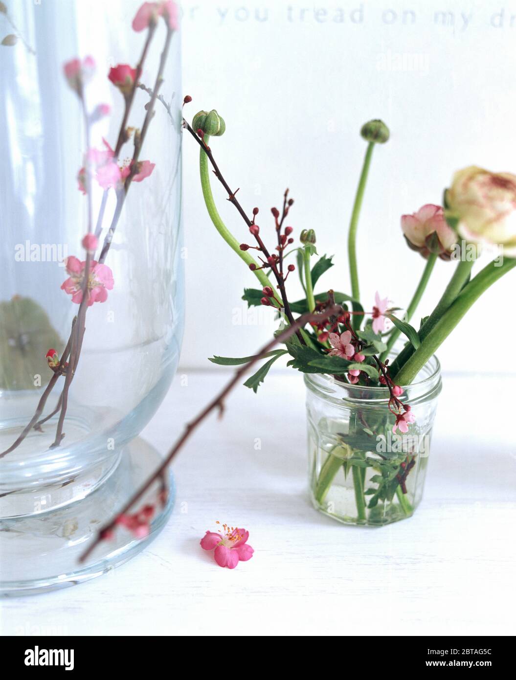 Fiori nel vasetto di marmellata Foto Stock