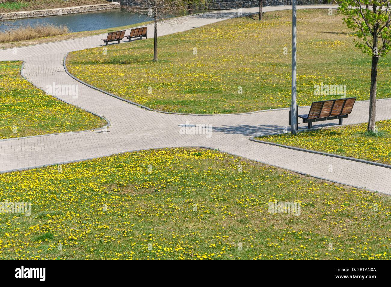 L'intersezione di sentieri nel Parco tra prati pieni di giallo dandelioni fioriti. Donetsk. Foto Stock