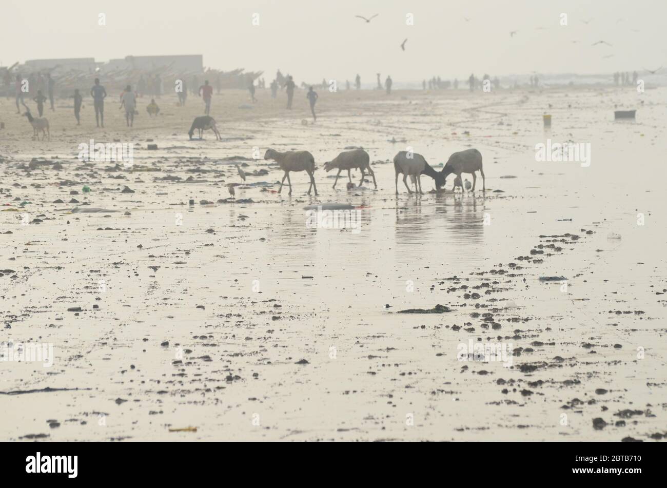 Yoff Beach, un sito di sbarco artigianale per la pesca e popoloso quartiere costiero a Dakar, Senegal Foto Stock