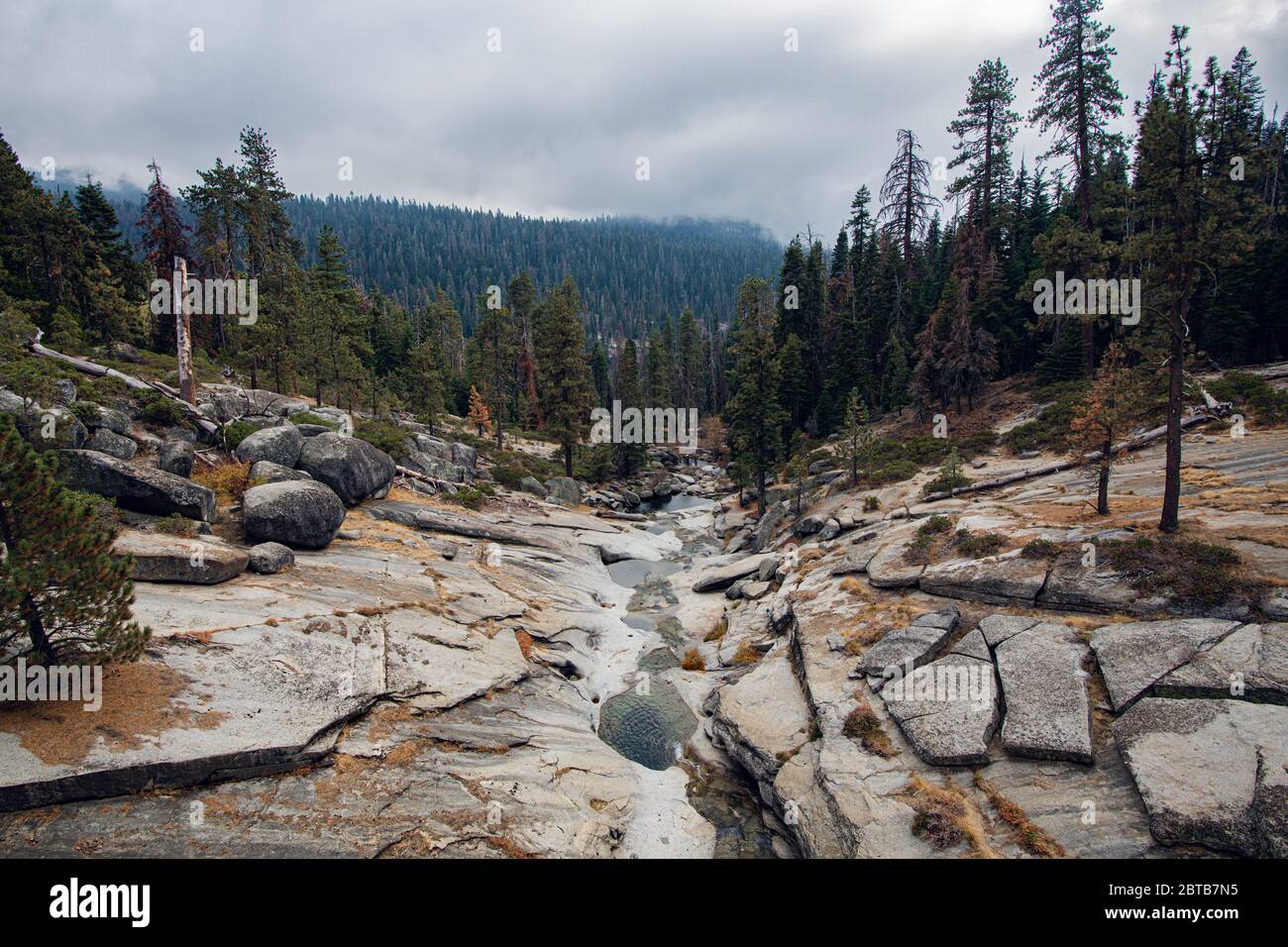 Una vista dall'alto di una profonda valle con un piccolo fiume circondato da pini in montagna nel parco nazionale di Yosemite durante la tarda primavera. Foto Stock