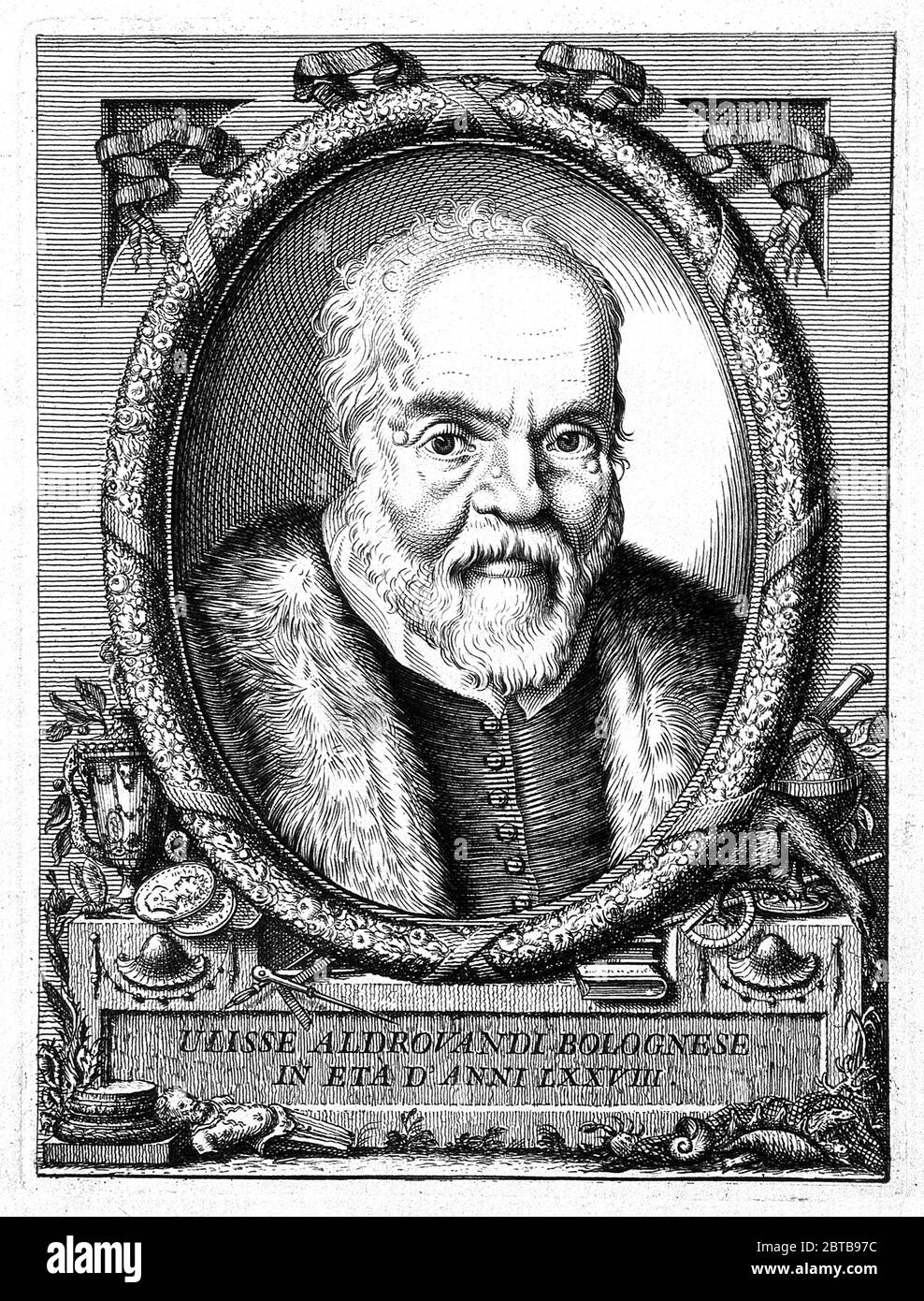 1590 C, ITALIA : il naturalista italiano , entomologo , biologo , botanico ULISSE ALDROVANDI (1522 - 1605) aka Ulysses Aldrovandus aka Aldovrandi . Ritratto di un incisore sconosciuto . - STORIA - foto storica - ritratto - ritratto - NATURALISTA - NATURALISTA - SCIENZA - SCIENZA - BIOLOGIA - biologia - biologia - ENTOMOLOGO - ENTOMOLOGIA - BOTANICO - BOTANICA - illustrazione - incisione - incisione - barba - barba ---- Archivio GBB Foto Stock