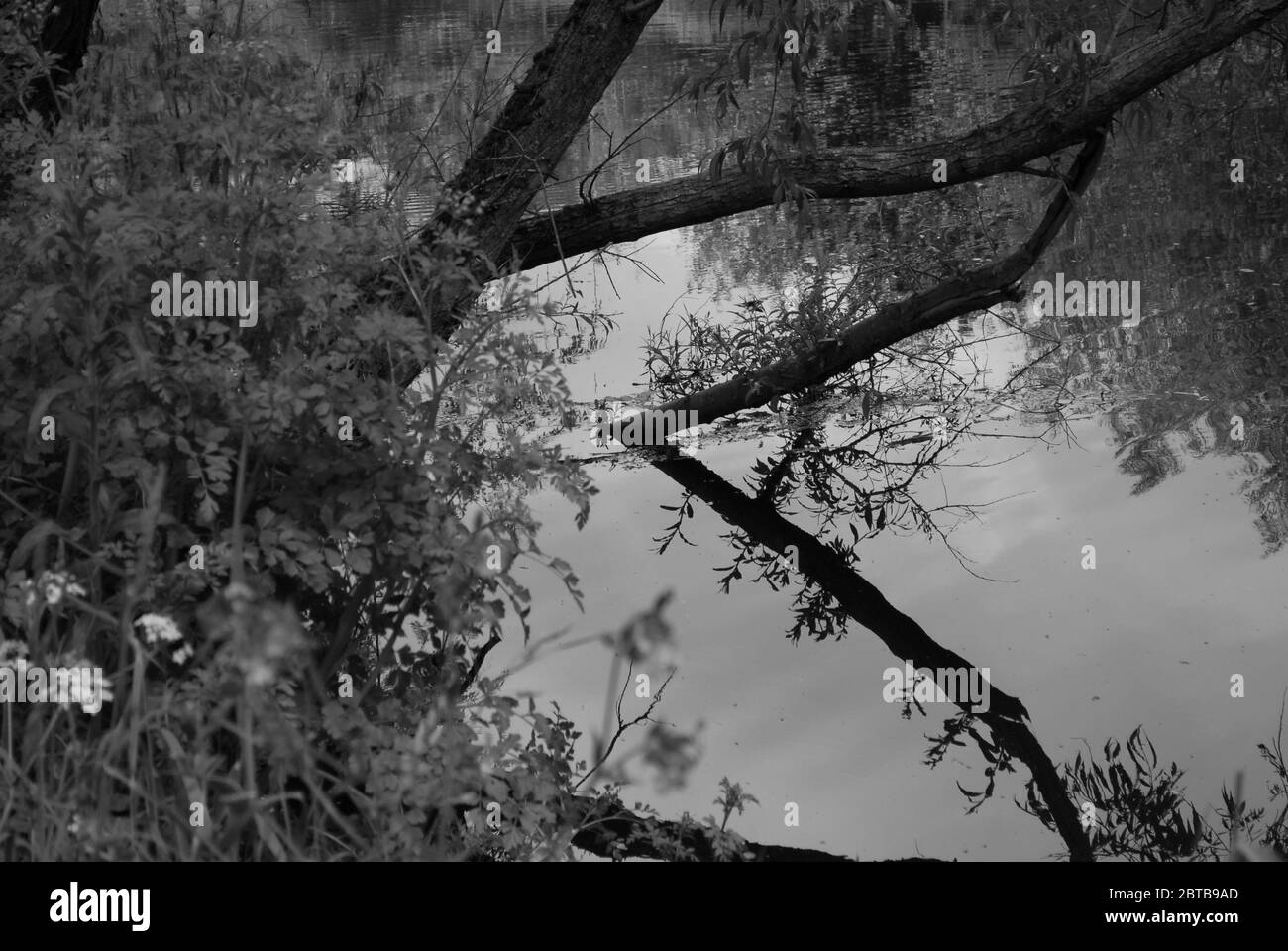River Derwent, Derwent Country Park, Swalwell, Gateshead, Regno Unito Foto Stock