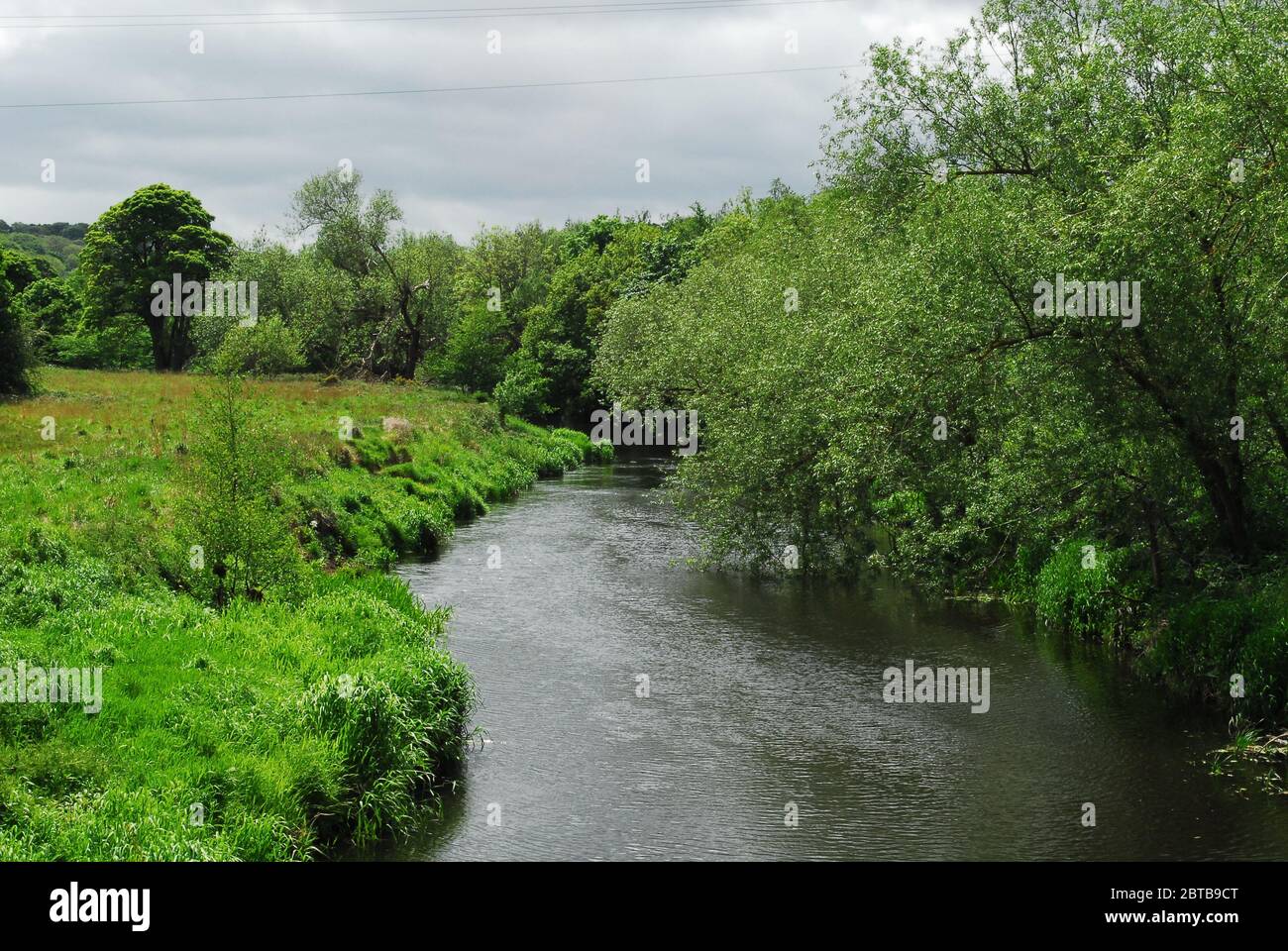 River Derwent, Derwent Country Park, Swalwell, Gateshead, Regno Unito Foto Stock