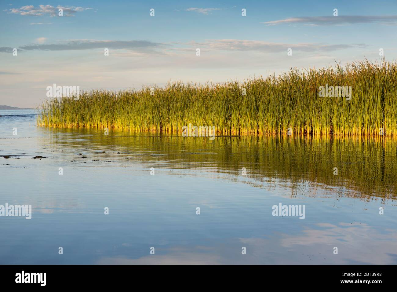 Vista mozzafiato sul lago Malawi, spiagge e acque cristalline, stagione secca, Malawi, Sud-Est-.Africa Foto Stock