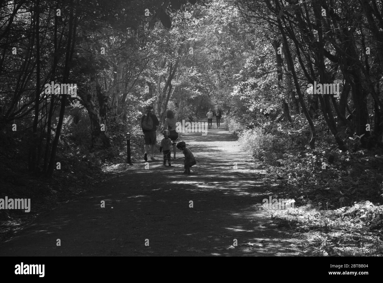 Derwent Walk, Derwent Countryside Park, Swalwell, Gateshead, Regno Unito Foto Stock