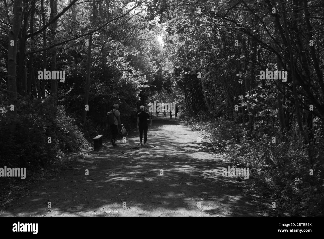 Derwent Walk, Derwent Countryside Park, Swalwell, Gateshead, Regno Unito Foto Stock