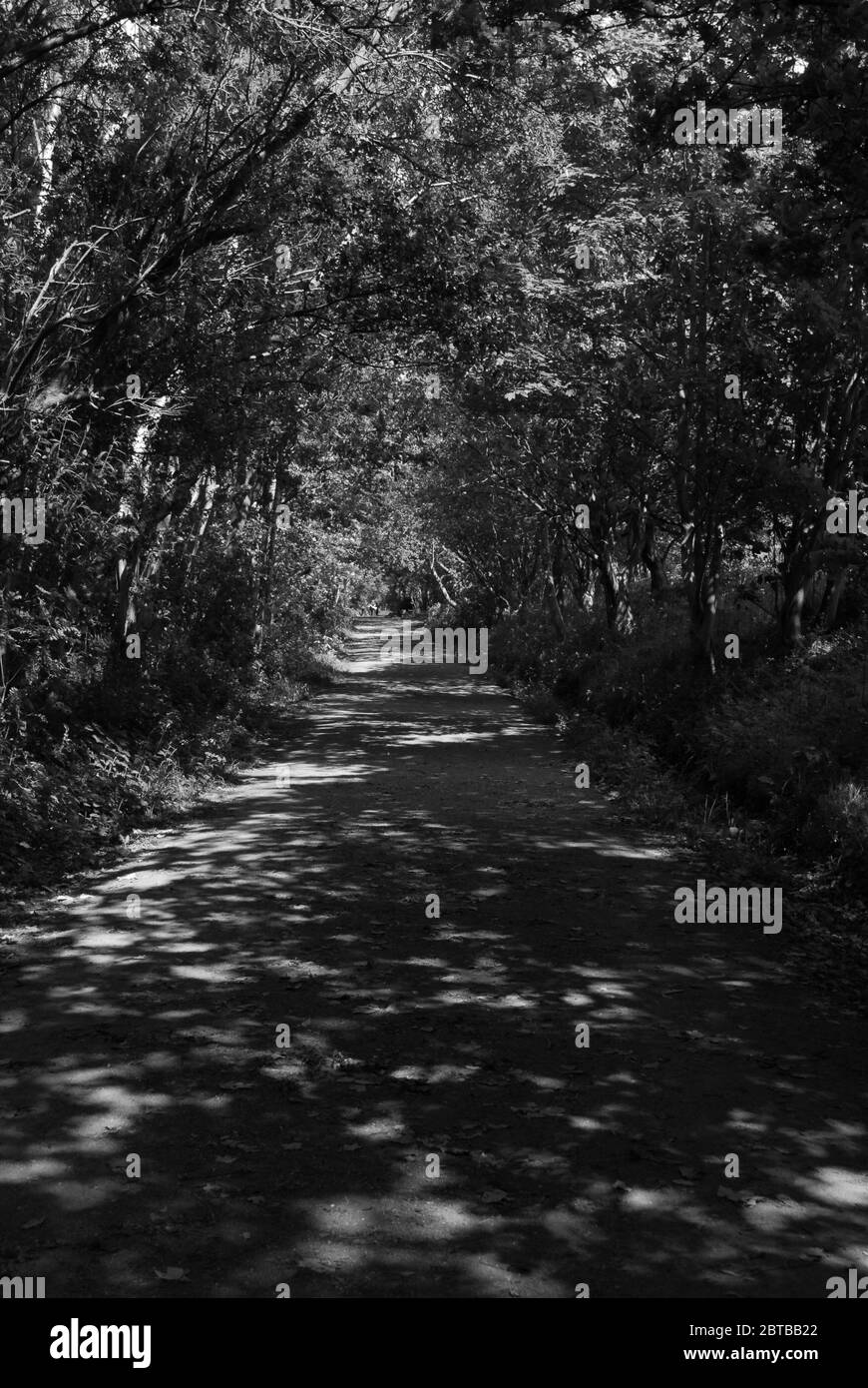 Derwent Walk, Derwent Countryside Park, Swalwell, Gateshead, Regno Unito Foto Stock