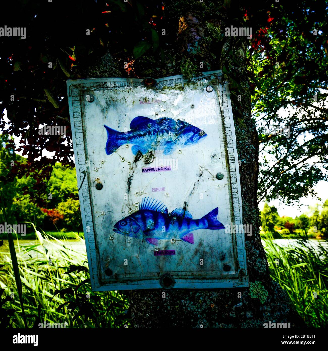 Istruzioni per i pescatori, Stagno di Dizimieu, Isere, Francia Foto Stock