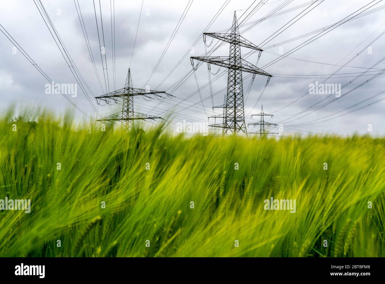 Linee elettriche, rete ad altissima tensione, 380 kilovolt, trasportano l'elettricità generata nelle grandi centrali elettriche nelle regioni, ad una statio di trasformatore Foto Stock