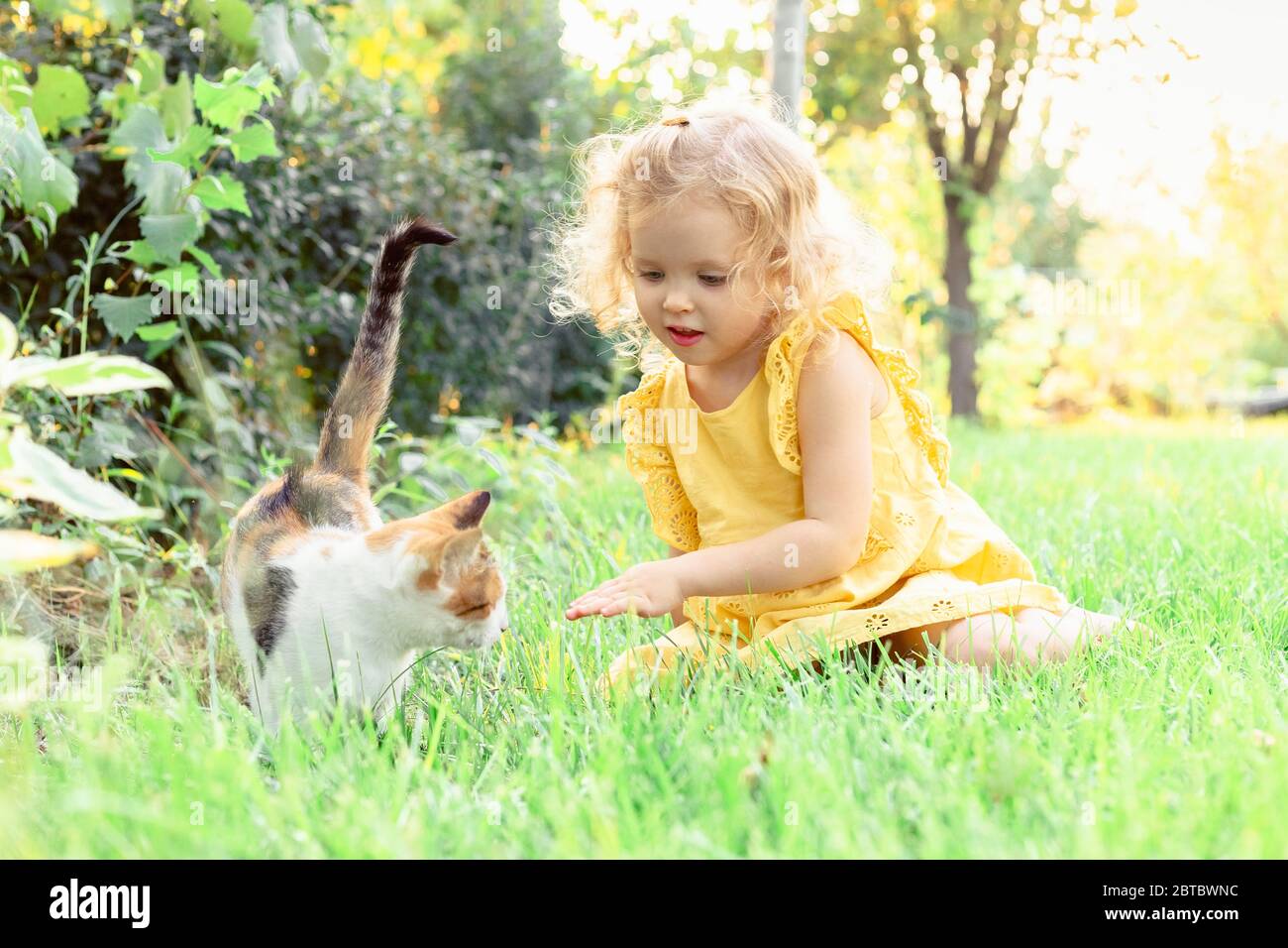 Bella ragazza bionda riccia bambino gioca con gatto domestico su prato in erba in estate. Felice infanzia in estate tempo in cortile. caucasica bambina Foto Stock