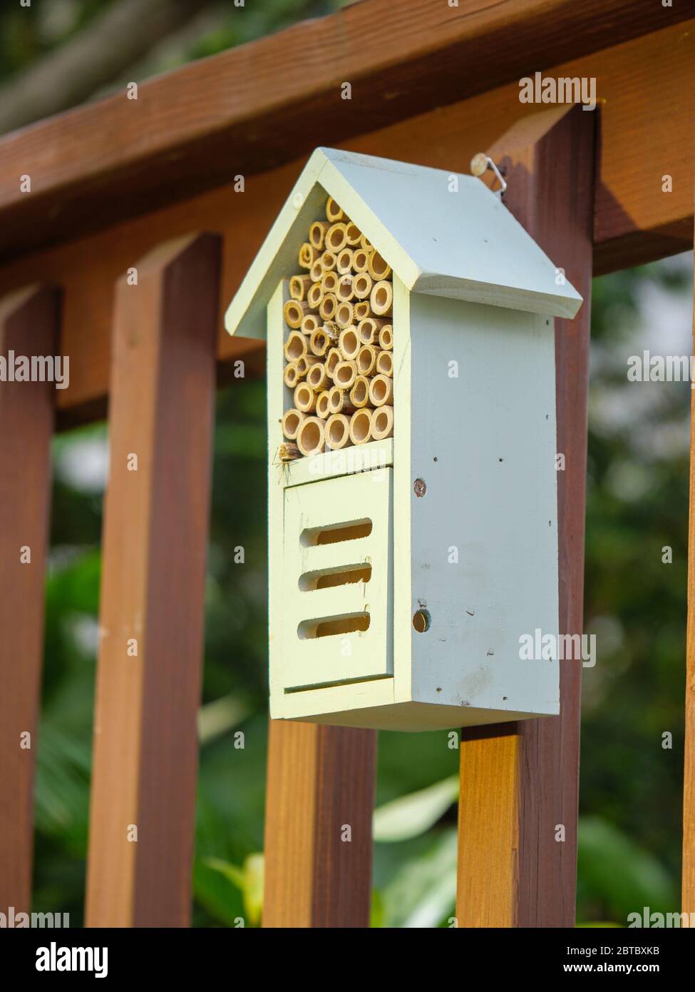 Casa delle api e dell'impollinatore. Fornisce cavità di annidamento per api solitarie e nascondiglio per i pollinatori. Foto Stock