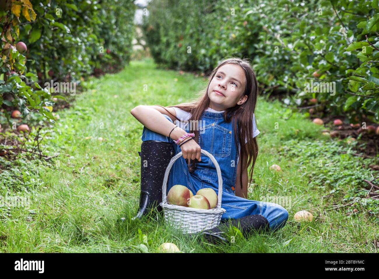 yang ragazza con cesto pieno di mele mature in un giardino o fattoria vicino alberi. Foto Stock