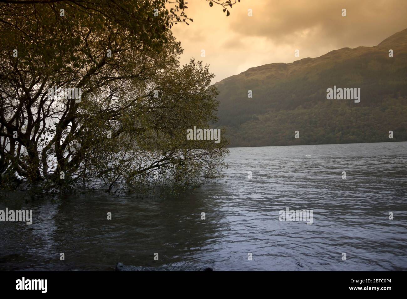 Riva del Loch Lomond a Loch Lomond e il Trossachs National Park in Scozia, Regno Unito Foto Stock