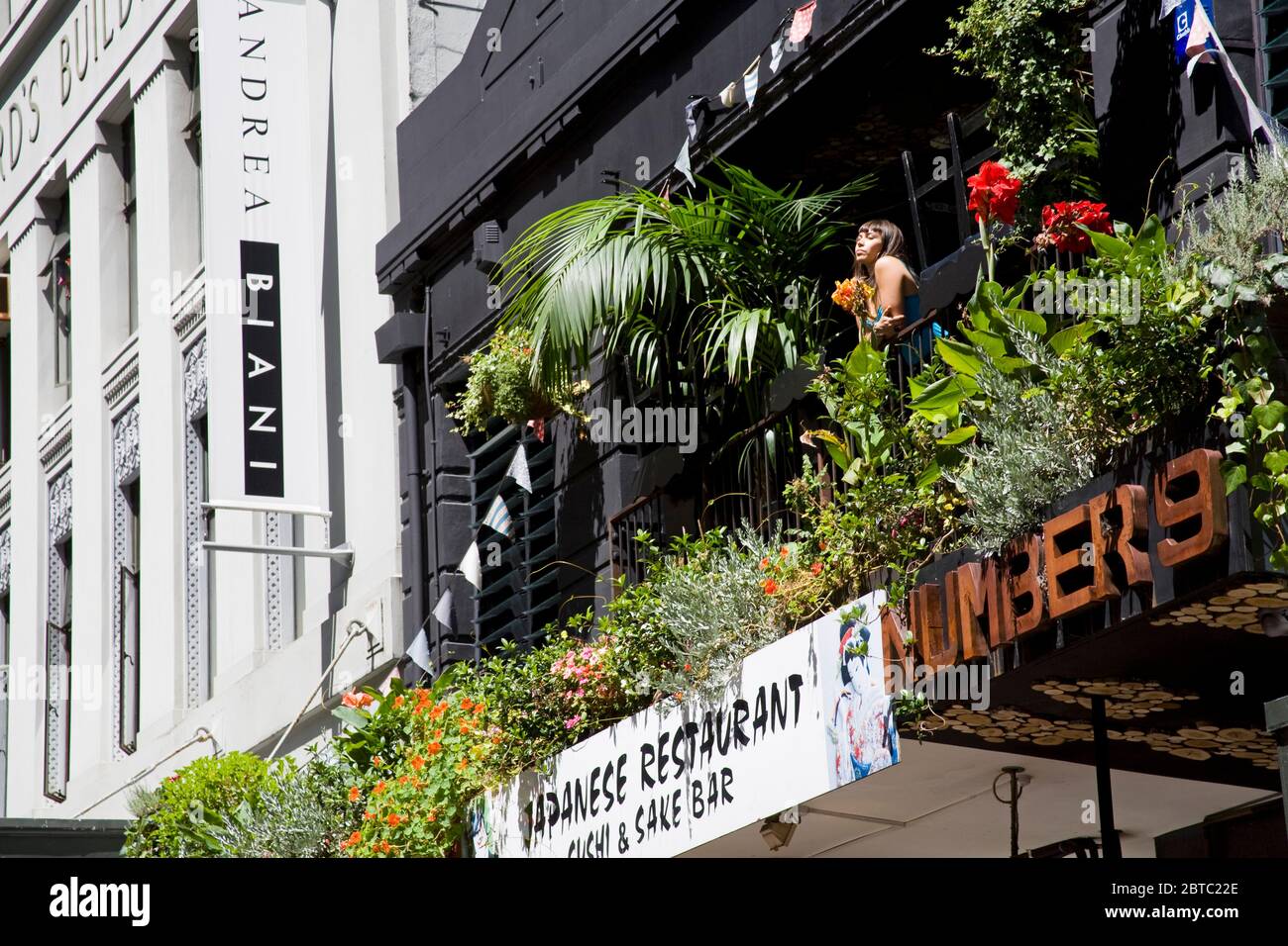 Ristorante giapponese su Vulcan Lane, Central Business District, Queen Street, Auckland, North Island, Nuova Zelanda Foto Stock