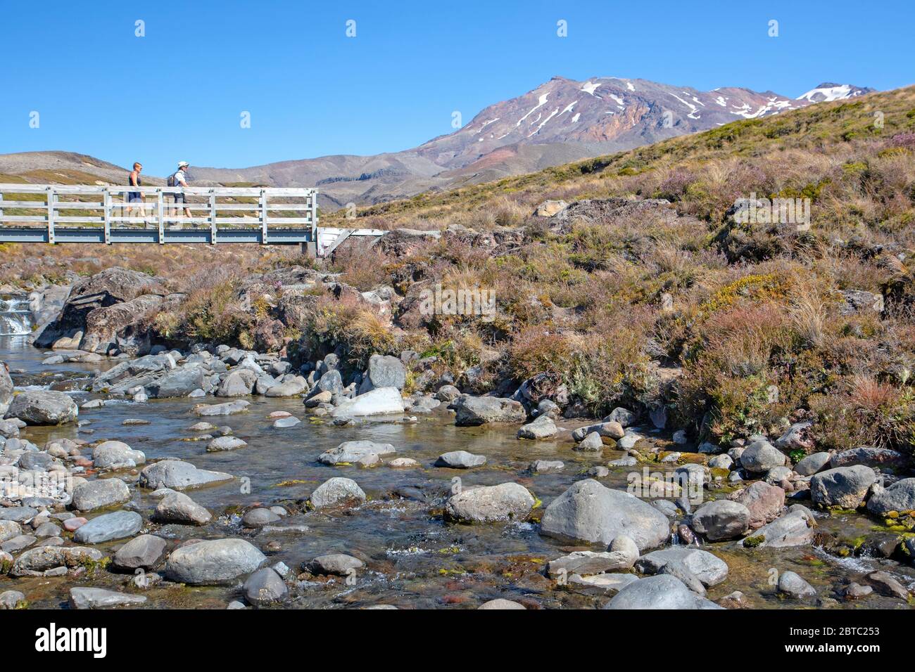 Ponte che attraversa le cascate Taranaki, con il monte Ruapehu alle spalle Foto Stock