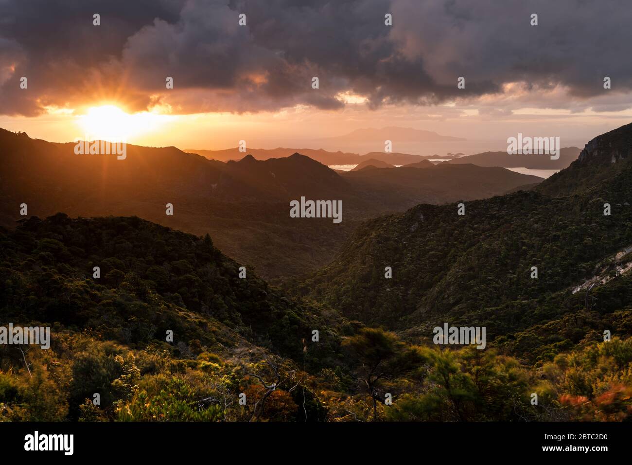 Great Barrier Island, Nuova Zelanda, gennaio 2020 Foto Stock