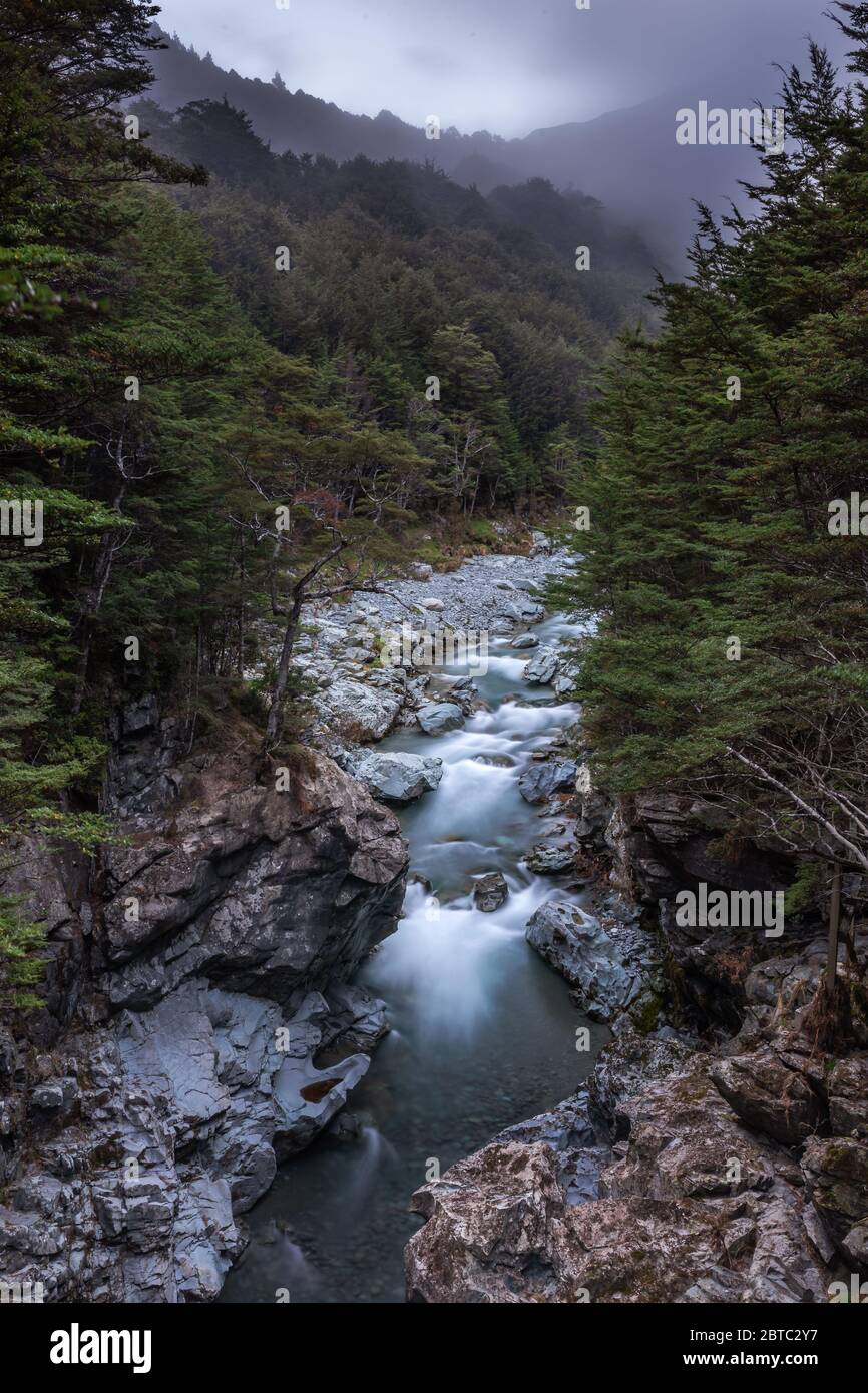 Greenstone River, Nuova Zelanda, marzo 2020 Foto Stock