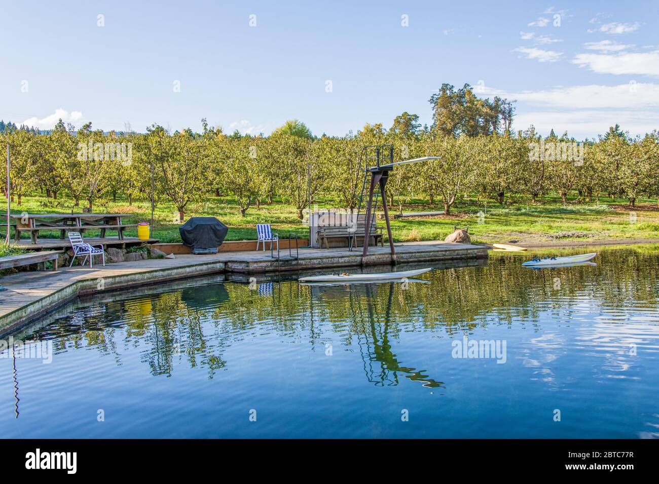 Fattoria ricreativa stagno con diving board, vicino Hood River, Oregon, Stati Uniti Foto Stock