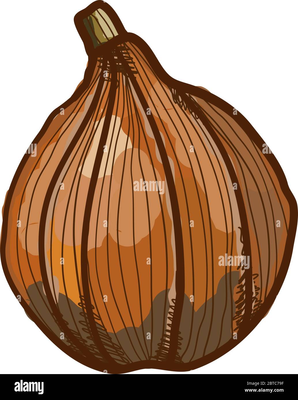 Zucca rossa di zucca di zucca di kuri, illustrazione, vettore su sfondo bianco Illustrazione Vettoriale