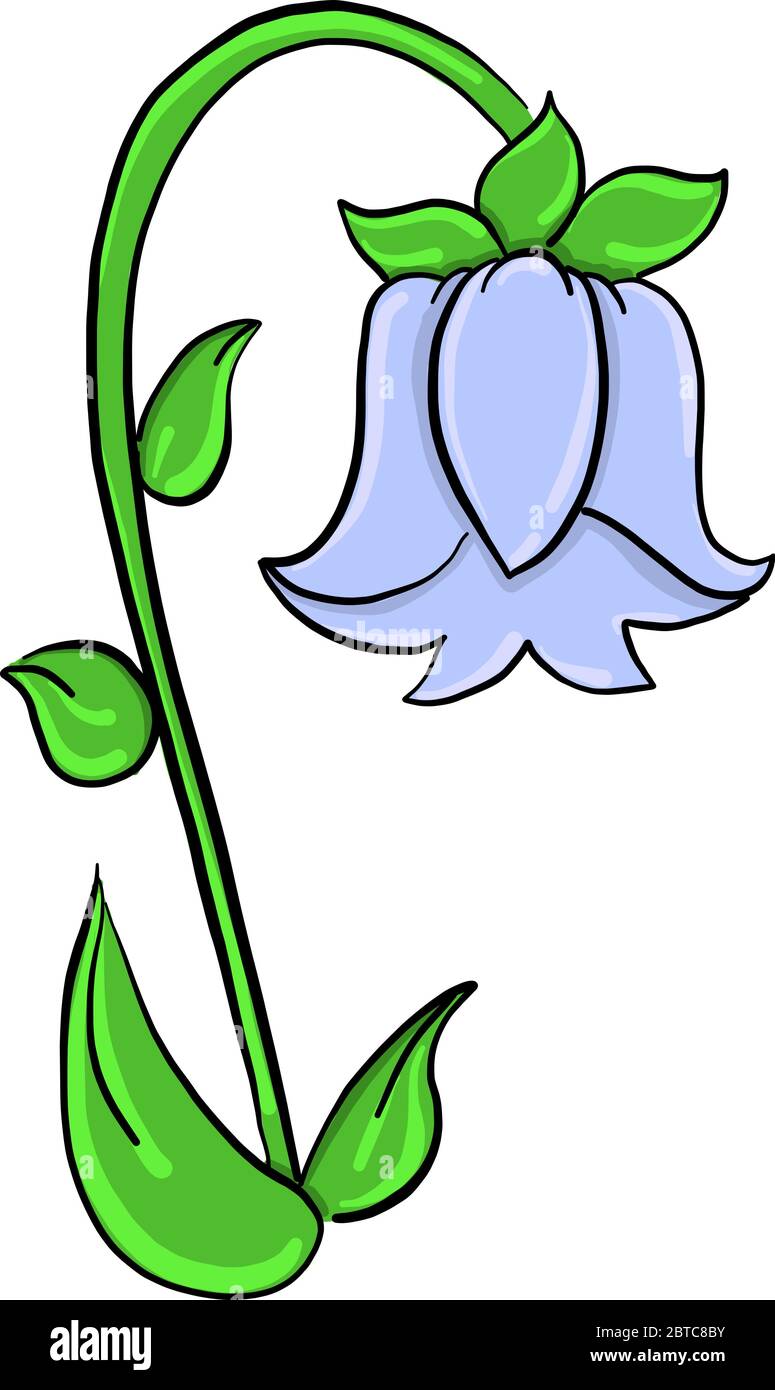 Fiore di campana , illustrazione, vettore su sfondo bianco Illustrazione Vettoriale