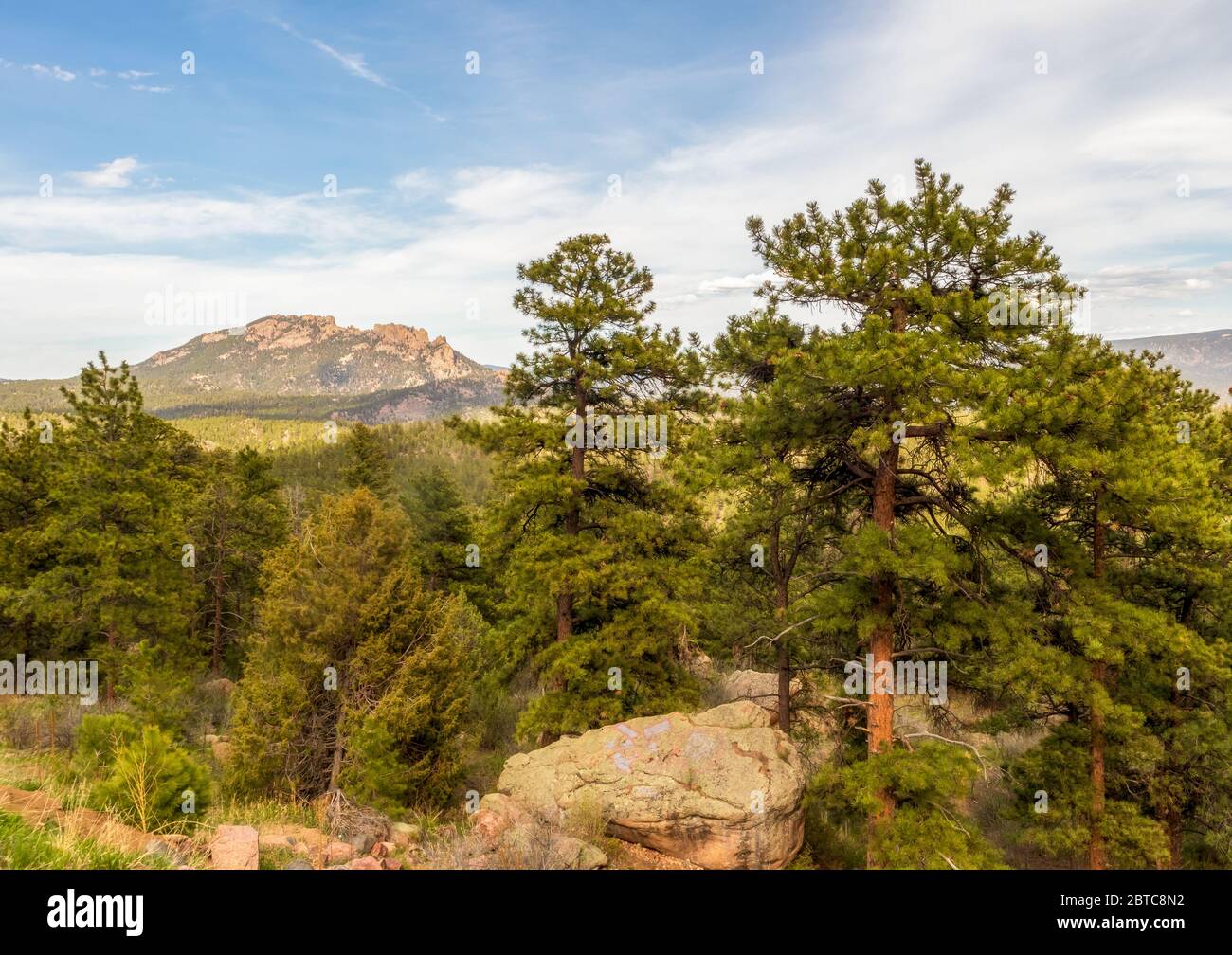 Paesaggio panoramico primaverile del Colorado vicino al lago Wellington Foto Stock