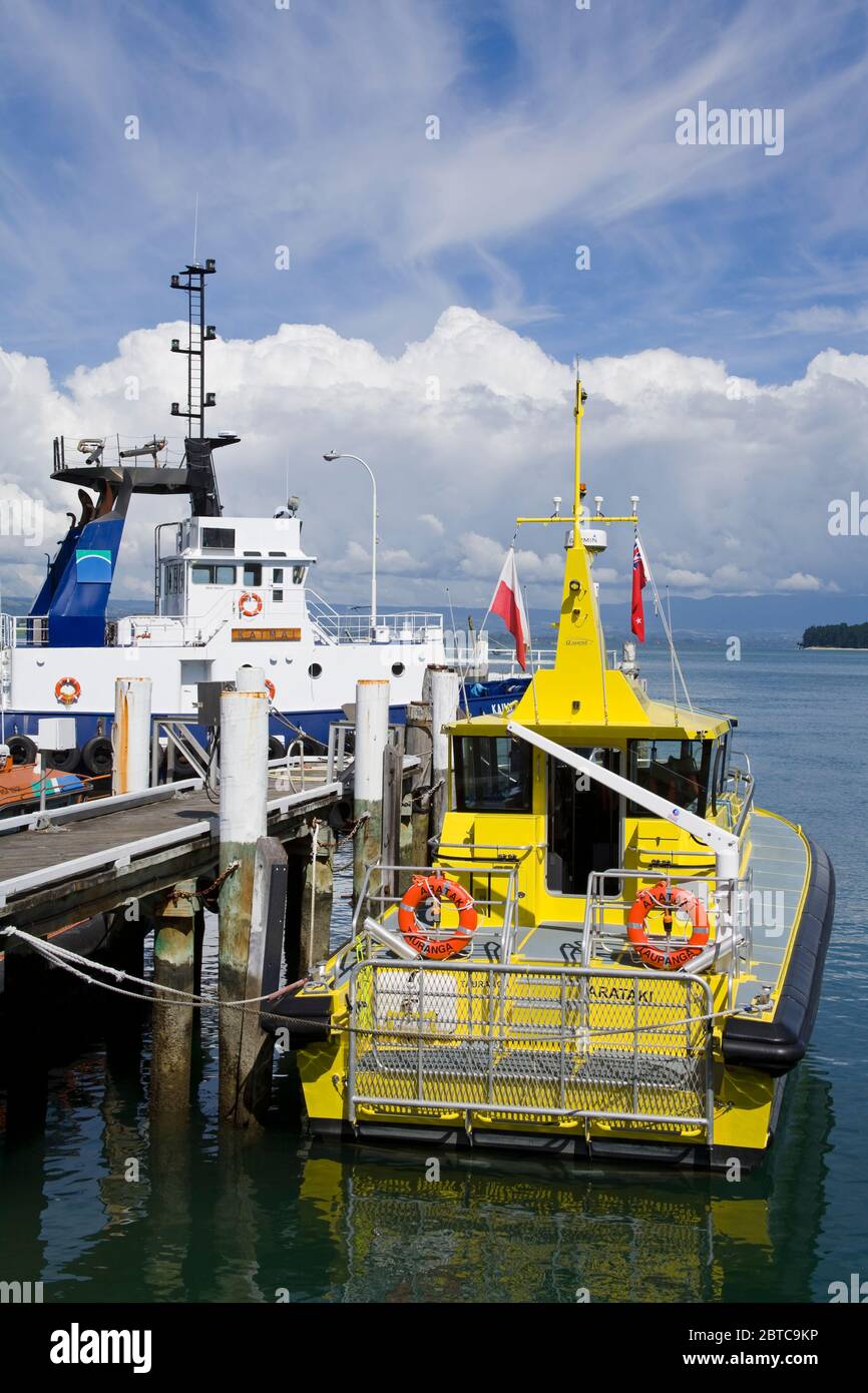 Porto di Tauranga in Monte Maunganui, Tauranga City, Isola del Nord, Nuova Zelanda Foto Stock