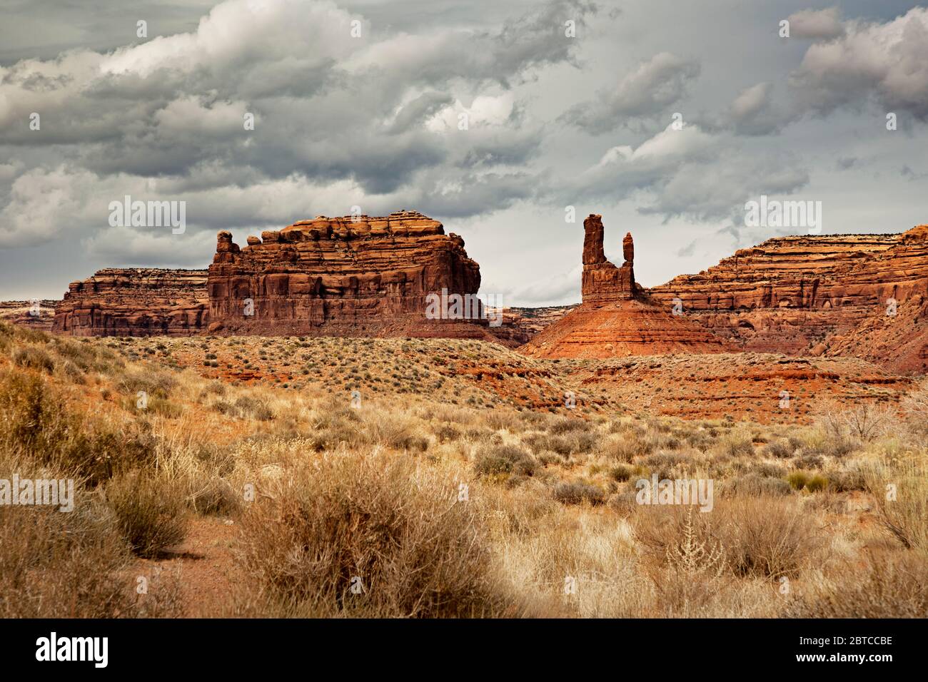 UT00583-00....UTAH - le guglie e i buttes si innalzano sopra la terra della prateria nella Valle degli dei. Foto Stock