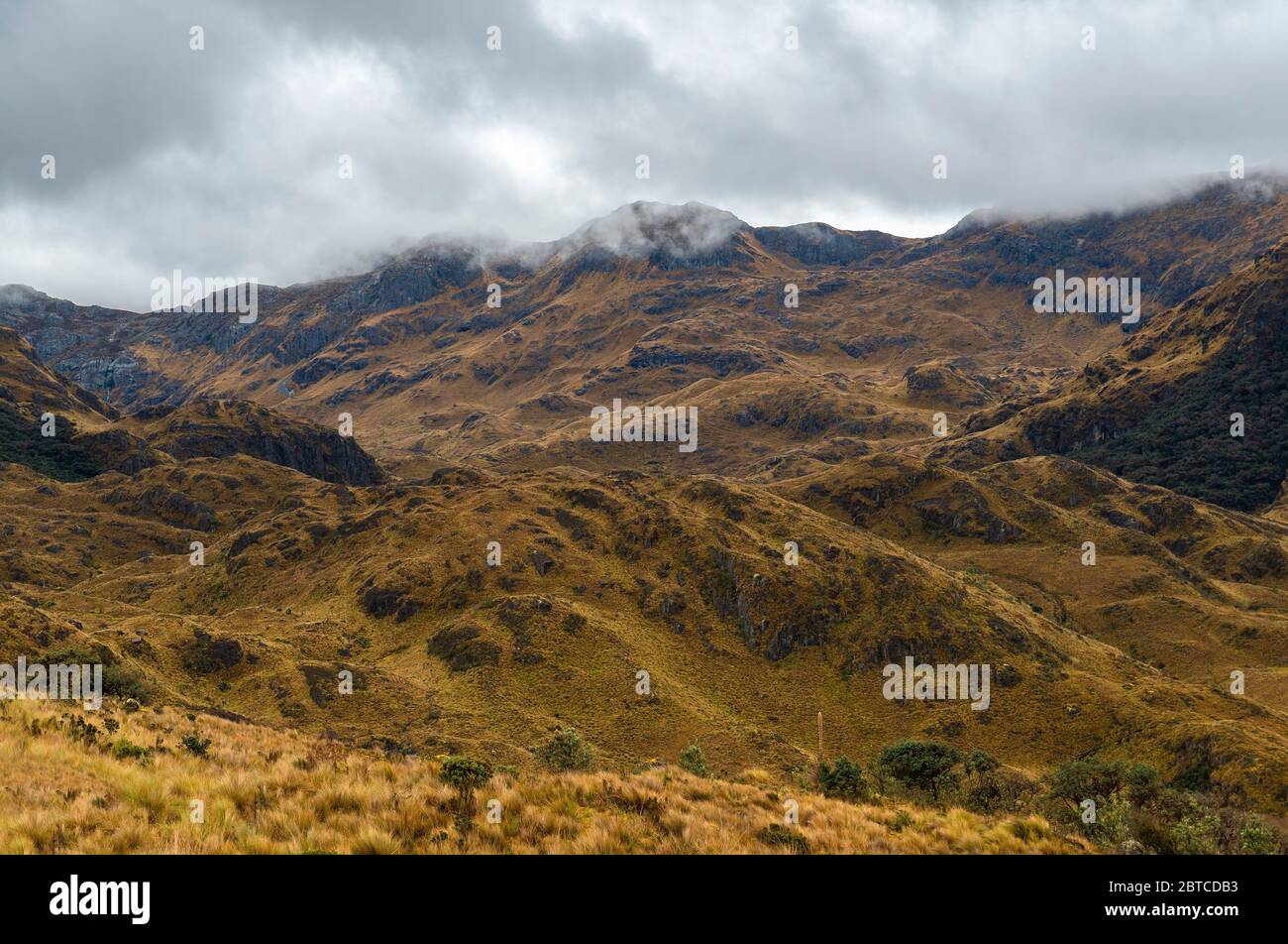 Nostalgica moody cielo nell'ecosistema paramo alta quota all'interno del parco nazionale Cajas, Andes Mountains, Cuenca, Ecuador. Foto Stock
